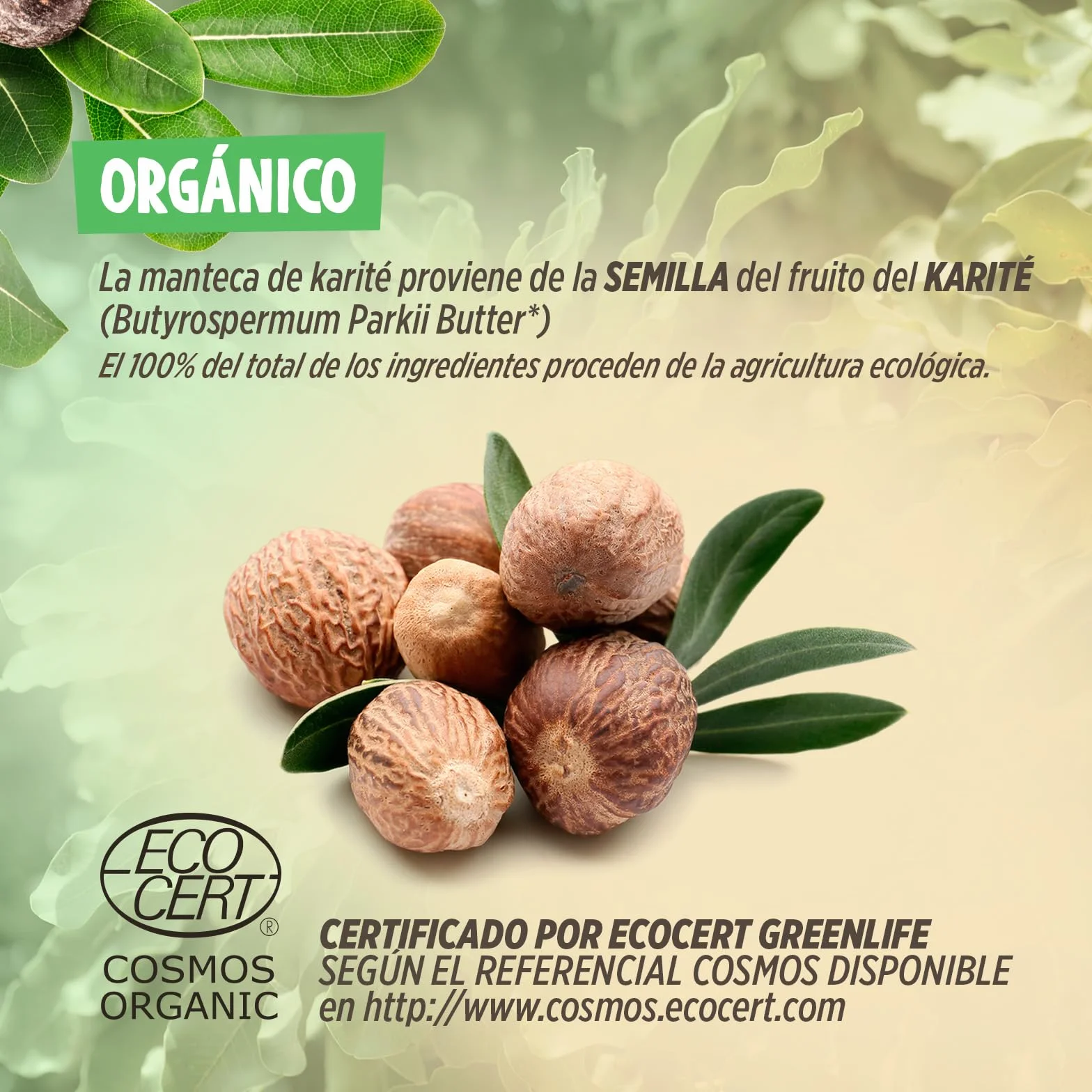 Manteca de Karité Ecológica 400 g - 100% Vegetal - Sin Refinar