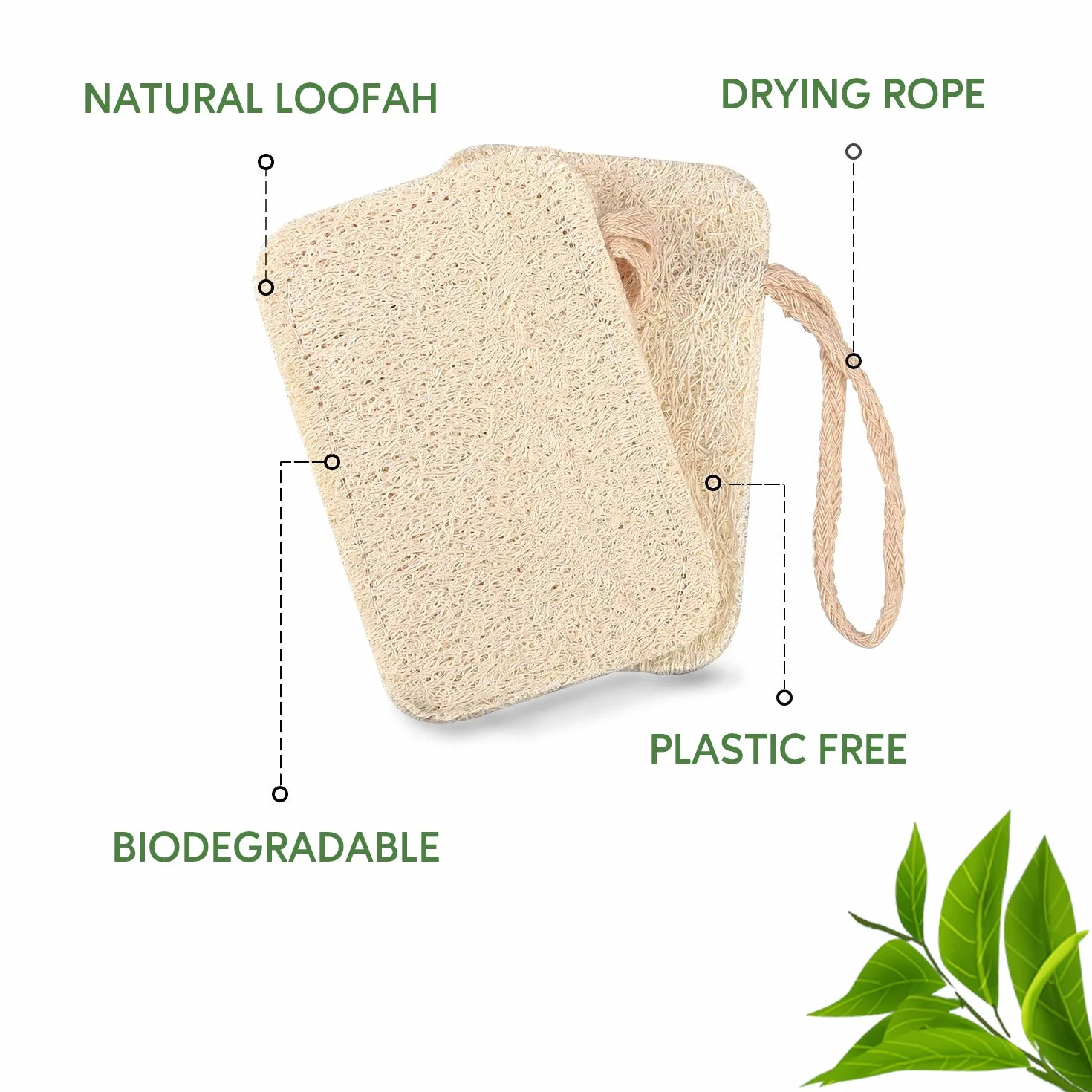 eplanita Esponjas Naturales para Lavar Platos, Estropajos Cocina, Eco Scrubber, Planta de Lufa Natural, Biodegradable y Cero Residuos (Paquete de 6)