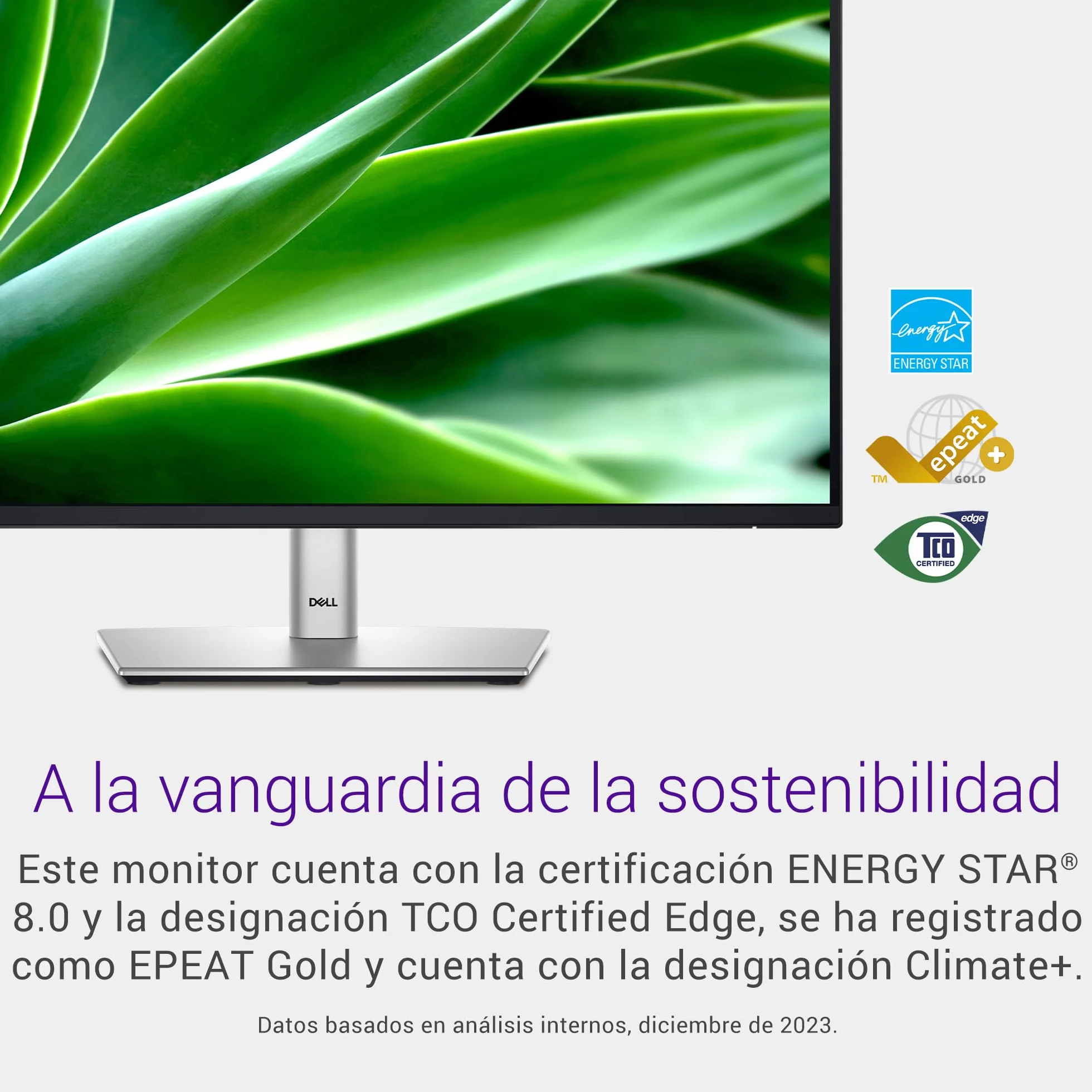 Dell P2425H 24" Full HD 1920x1080 Monitor 100Hz IPS 5ms 99% sRGB USB-C DisplayPort HDMI VGA Negro