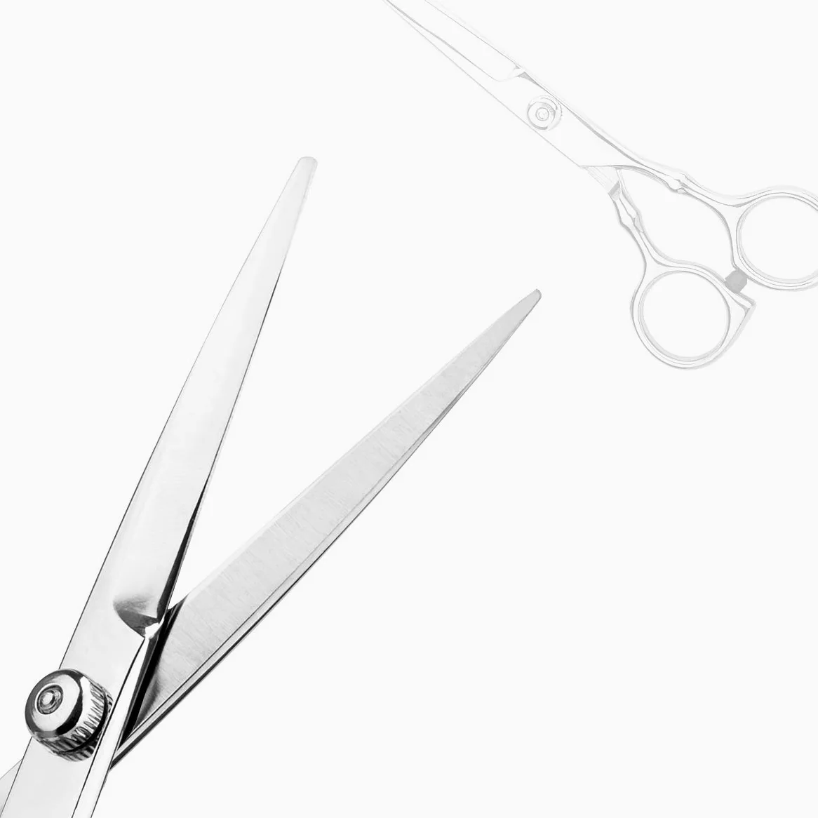 Tijeras de corte de pelo profesionales para el hogar, peluquería/salón de belleza, kit de tijeras de adelgazamiento con peine y estuche para hombres y mujeres (plateado)