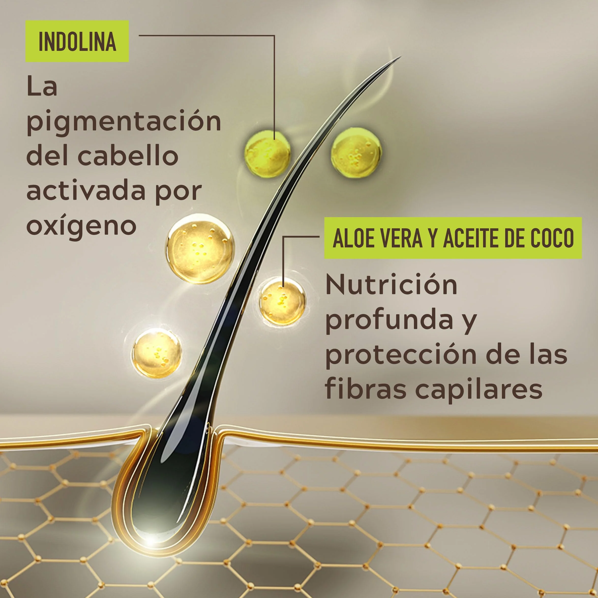 Just For Men Control GX Champú Reductor de Canas 118ml