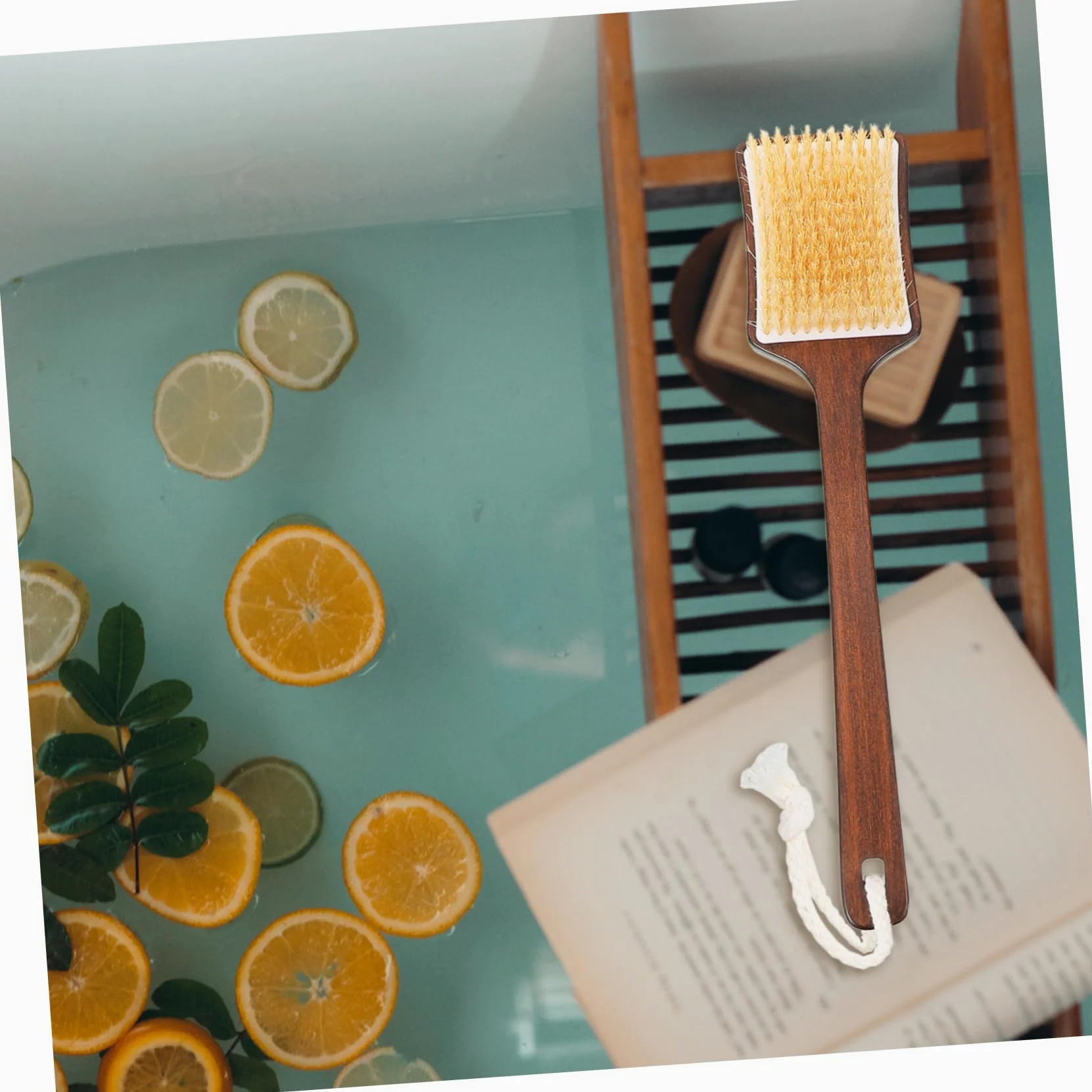 Didiseaon 3 Cepillos De Baño De Pelo De Cepillo De Espalda Para Ducha Para Mujeres Cepillo De Ducha Con Mango Largo Para Hombres Cepillo De Cepillo De Ducha Cepillo De