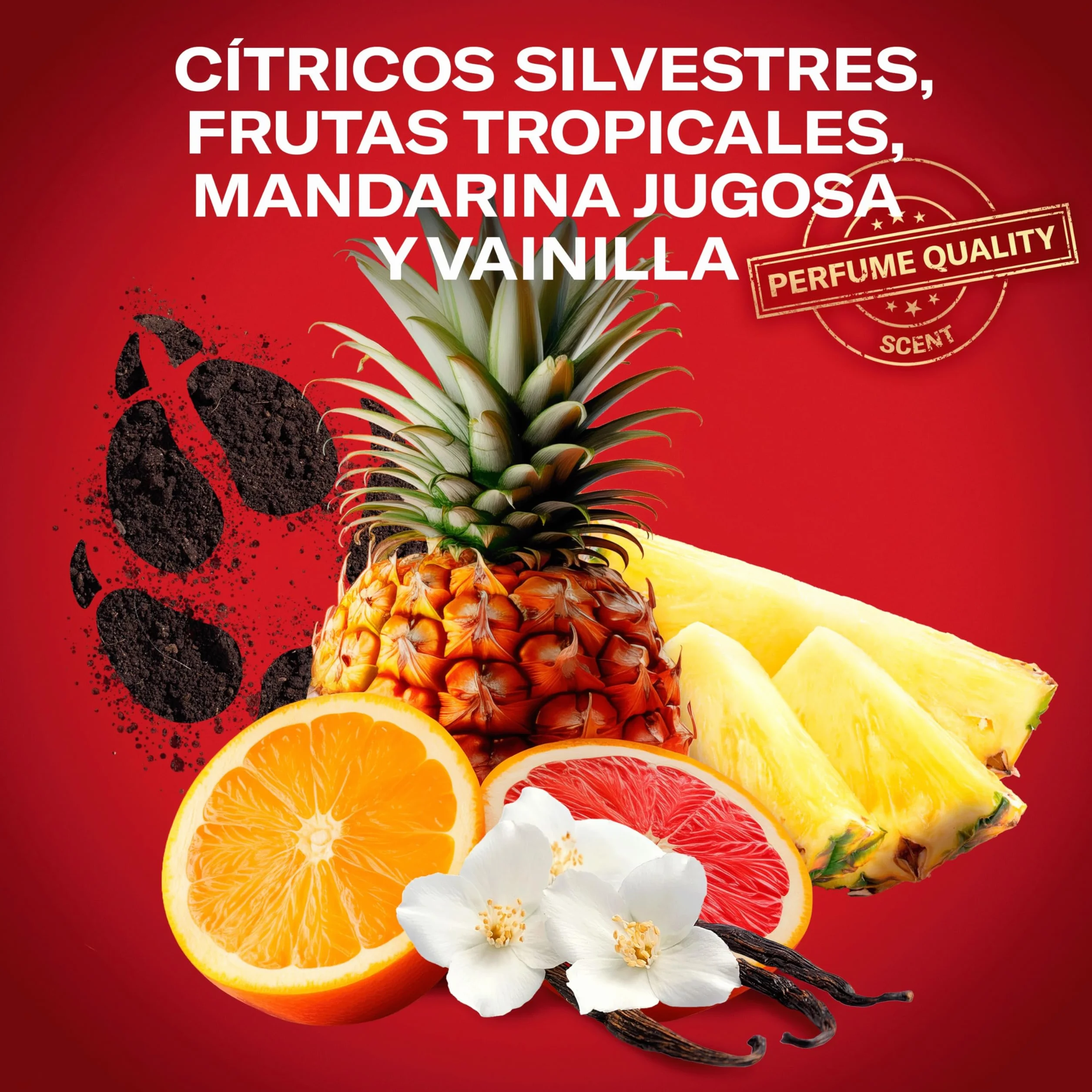 Old Spice Wolfthorn Desodorante En Barra Para Hombres 4x50 ml, Fresco 24 Horas