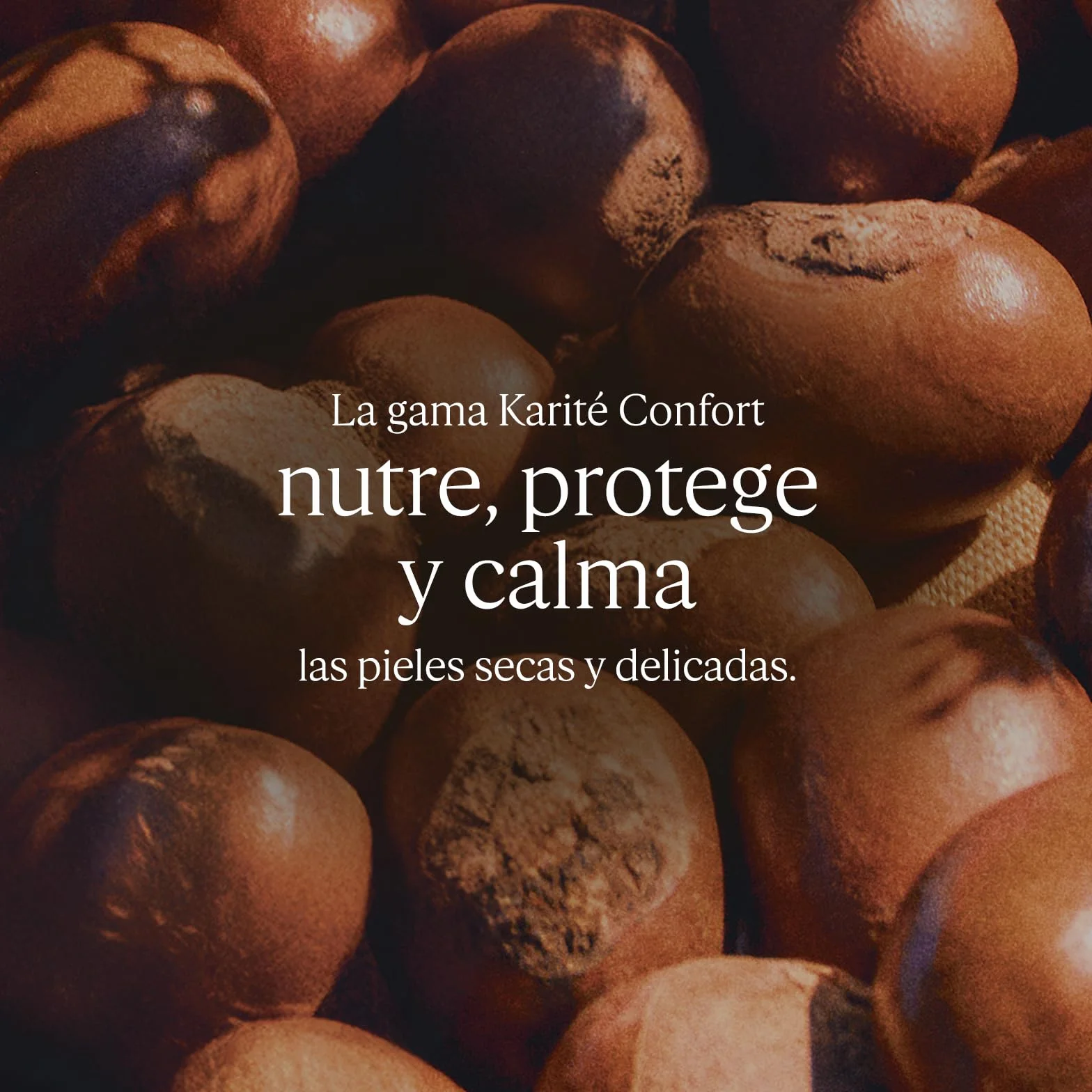 L'OCCITANE Exfoliante Corporal Karité Confort 200 ml Exfolia y nutre