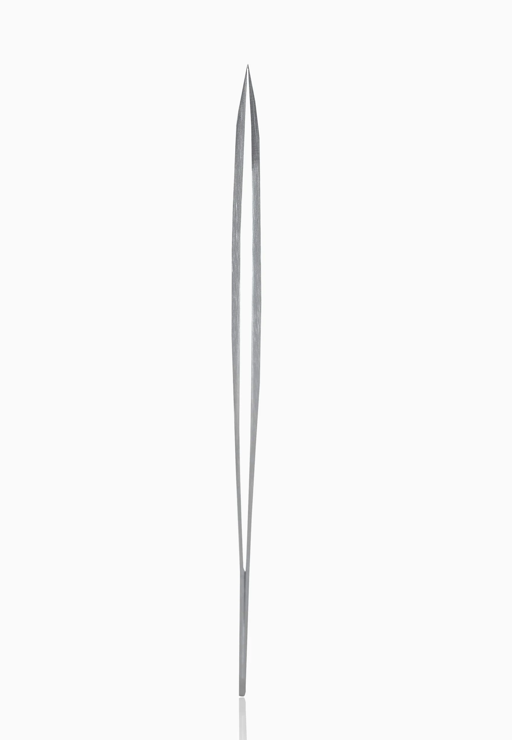 Rubis Pinzas depilar profesionales precision - punta fina para el vello encarnado y las astillas