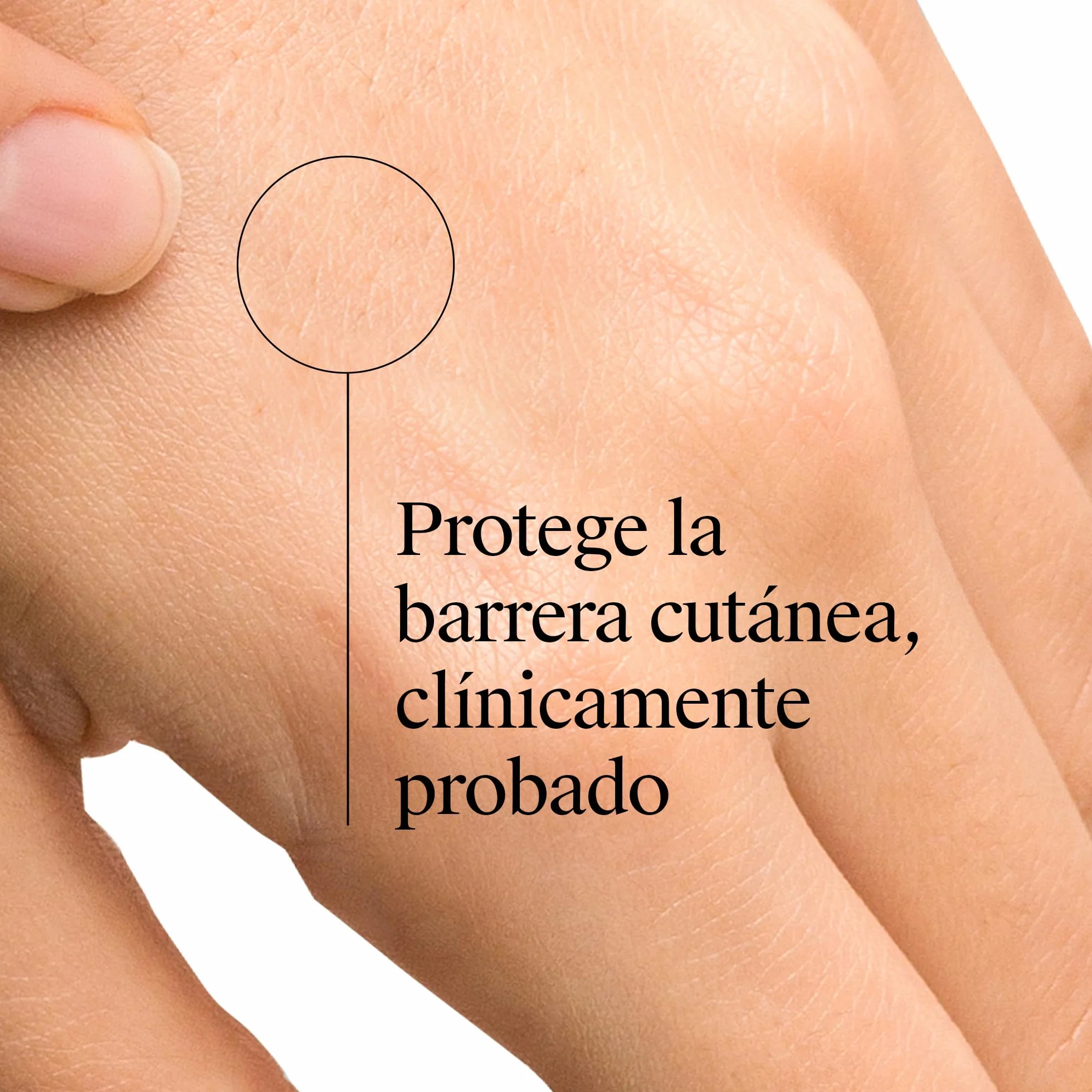 Neutrogena Duplo Crema de Manos Concentrada con Perfume 2 x 50 ml reparadora para pieles sensibles agrietadas y secas con glicerina y vitamina E