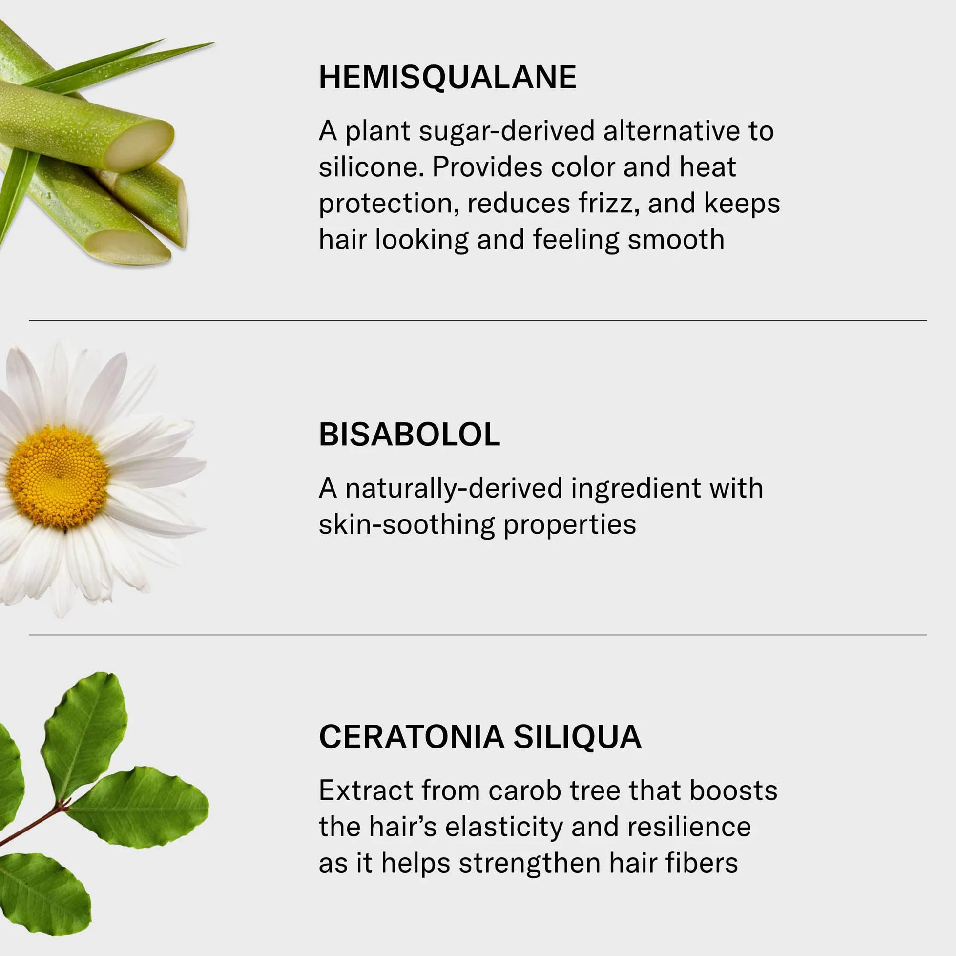 SEEN Crema rizada, no comedogénica y sin sulfatos, crema para el cabello que define rizos, reduce el encrespamiento, protector del calor, segura para pieles sensibles