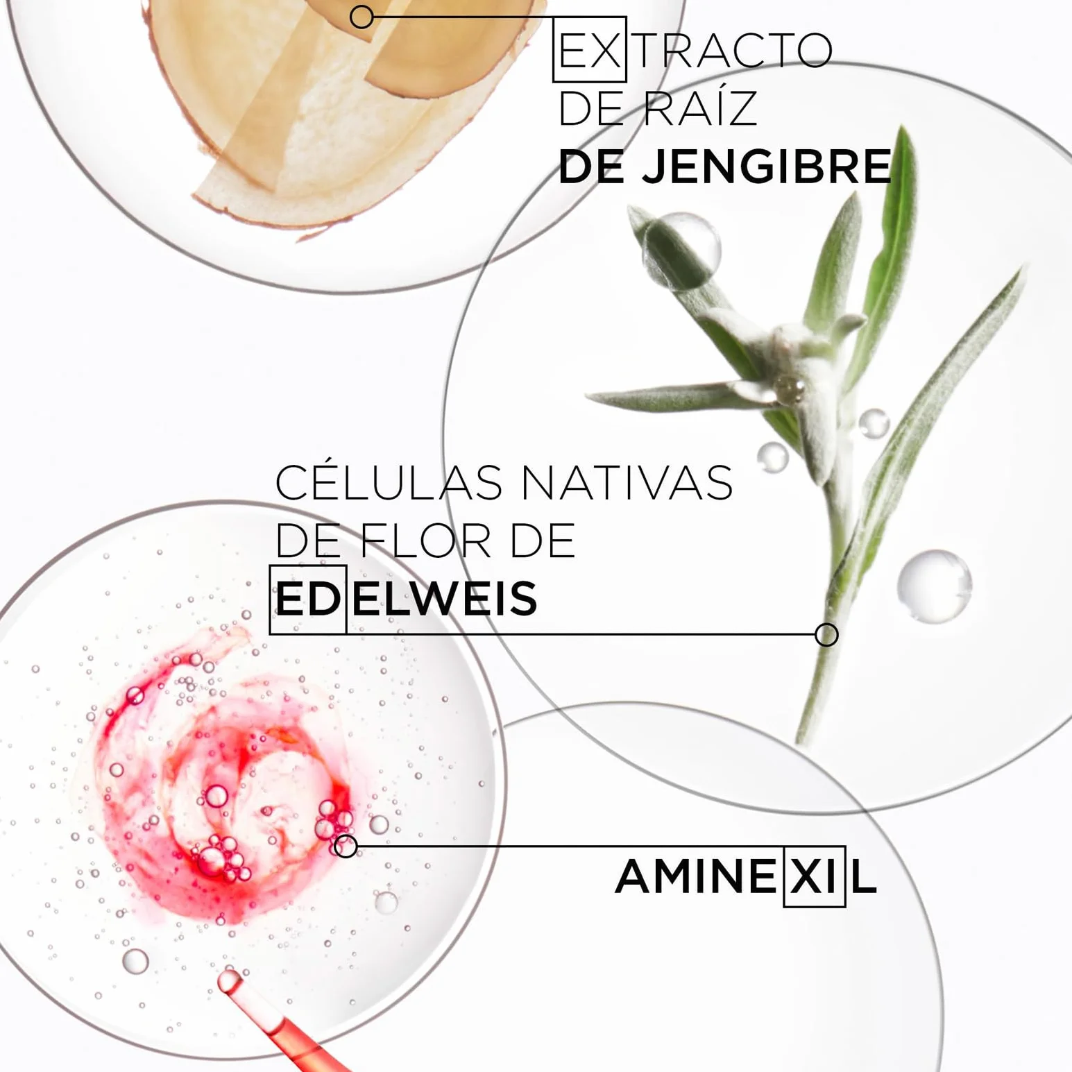 Kérastase Genesis Champú Fortificante Anticaída Anti Rotura Pelo Débil Seco 250 ml