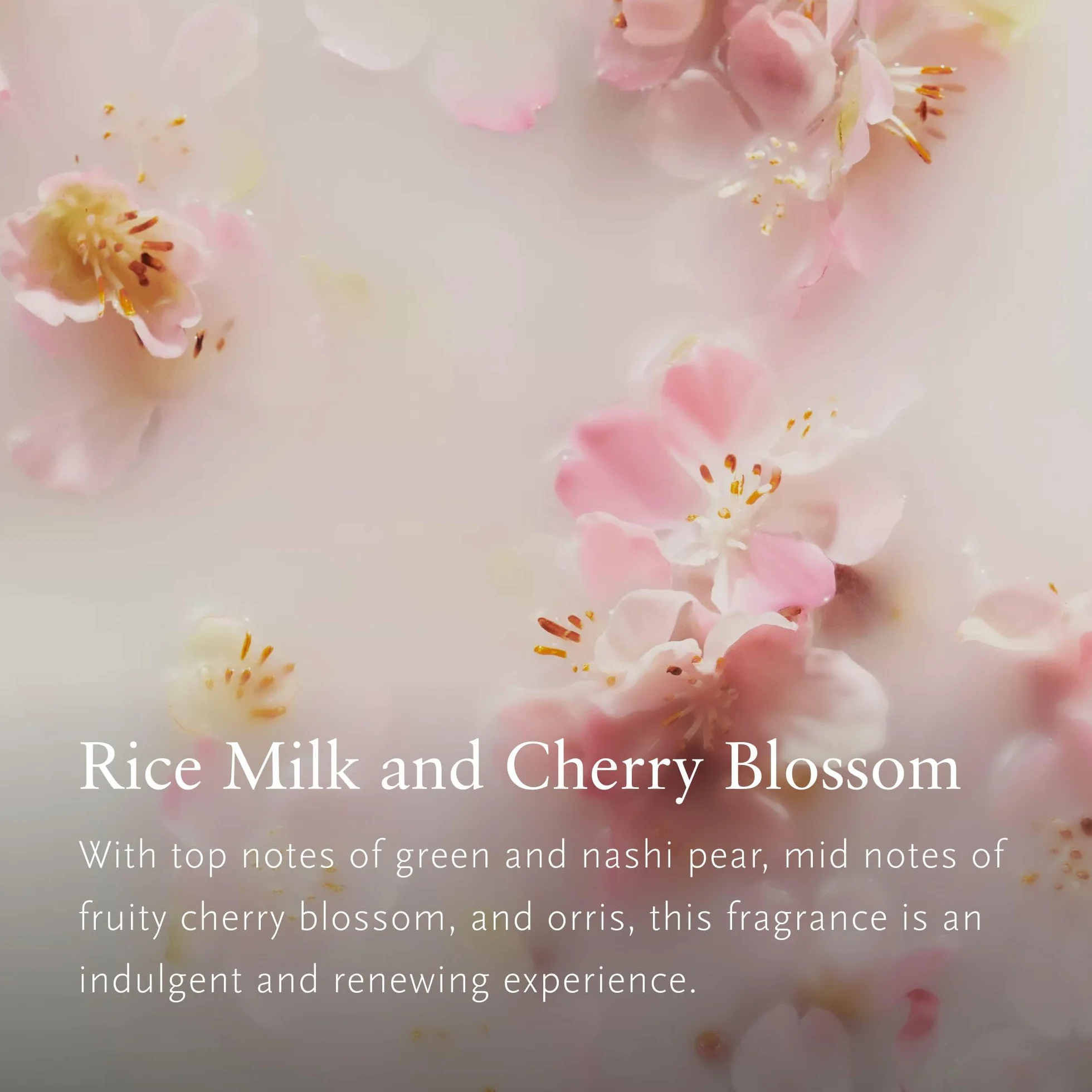 RITUALS Caja de regalo The Ritual of Sakura Small Leche de Arroz y Flor de Cerezo
