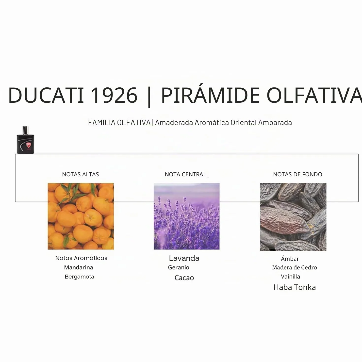 Ducati Caja de regalo perfume 100 ml Beauty Case