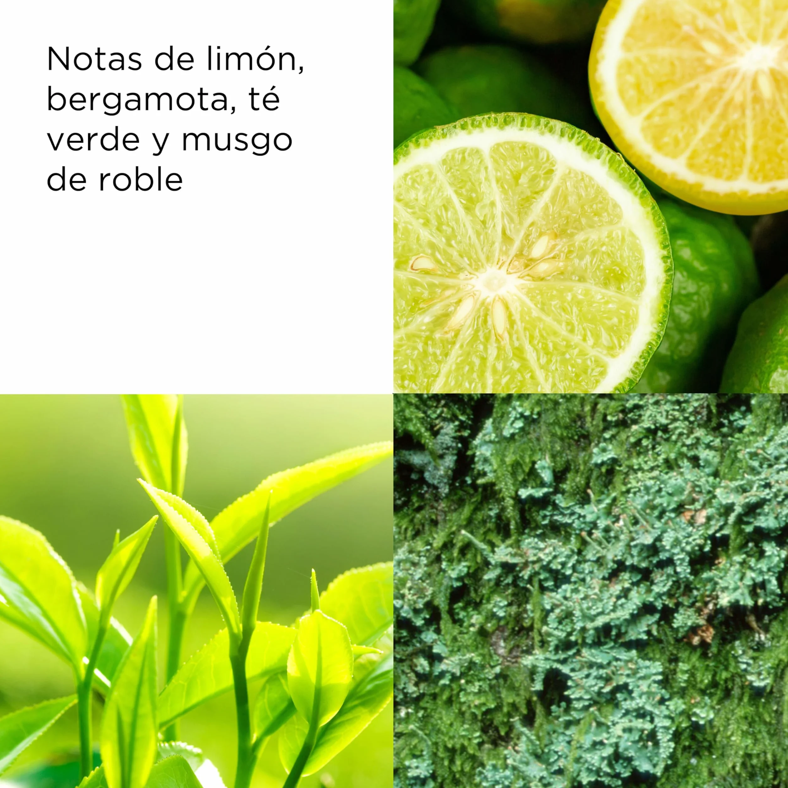 Elizabeth Arden Green Tea Loción Corporal Refrescante 500 ml