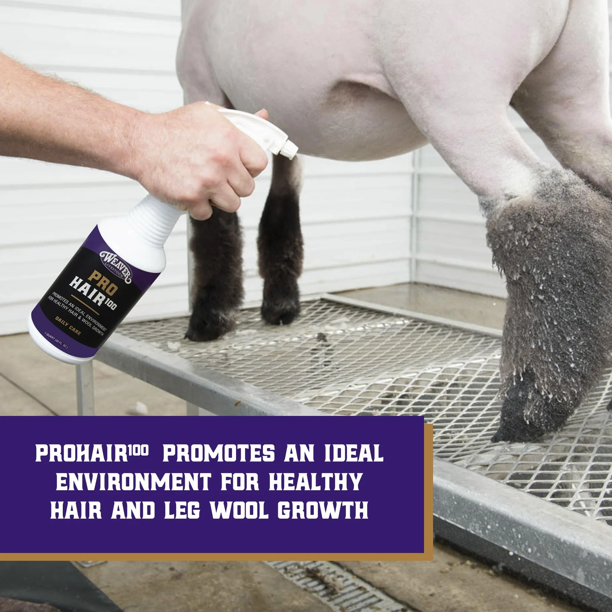 Weaver Leather Livestock Winner's Brand Pro Hair100 Shampoo