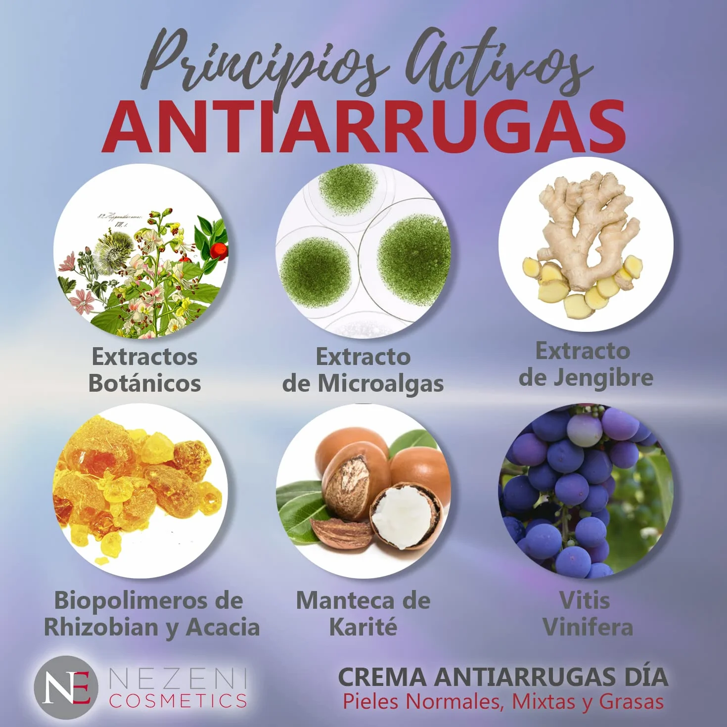 Nezeni Crema Facial Antiarrugas Mujer/Hombre 16 Principios Activos | Rellenador Arrugas Profundas | Crema Antiarrugas Día Reafirmante Para Cara, Cuello y Escote | Piel Normal, Grasa y Mixta