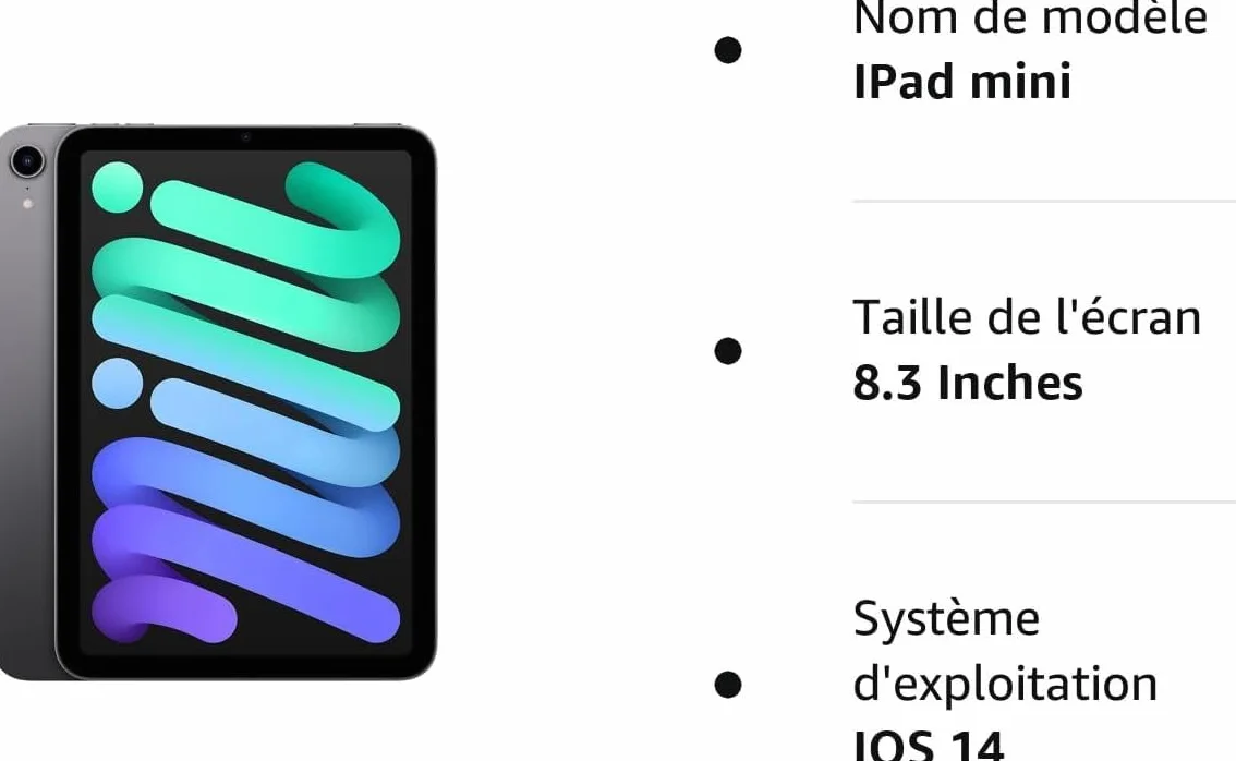Apple iPad Mini 8,3 pulgadas Wi-Fi 64GB Gris Espacial Reacondicionado