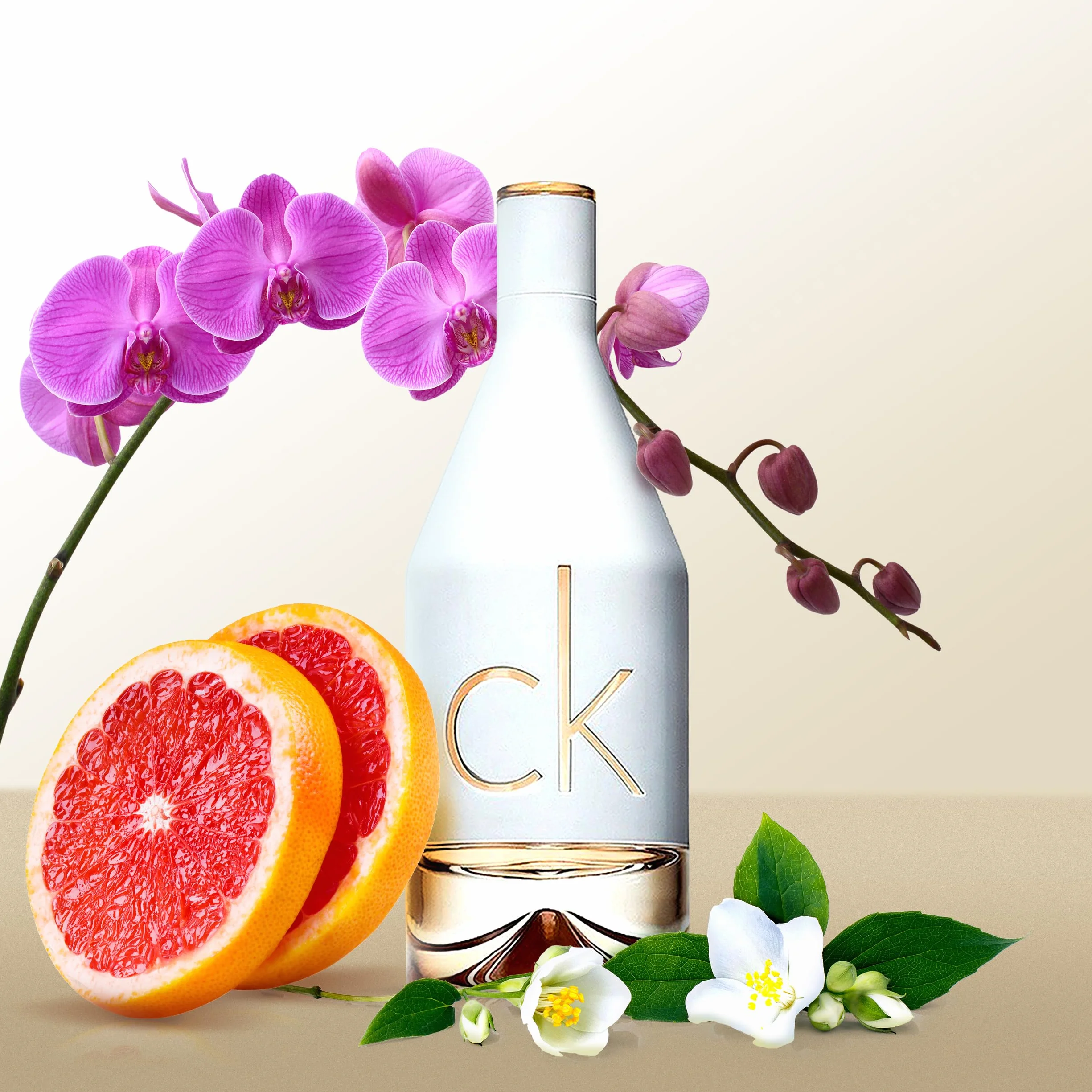 Calvin Klein CK IN2U Eau de Toilette para mujer, fragancia cítrica floral