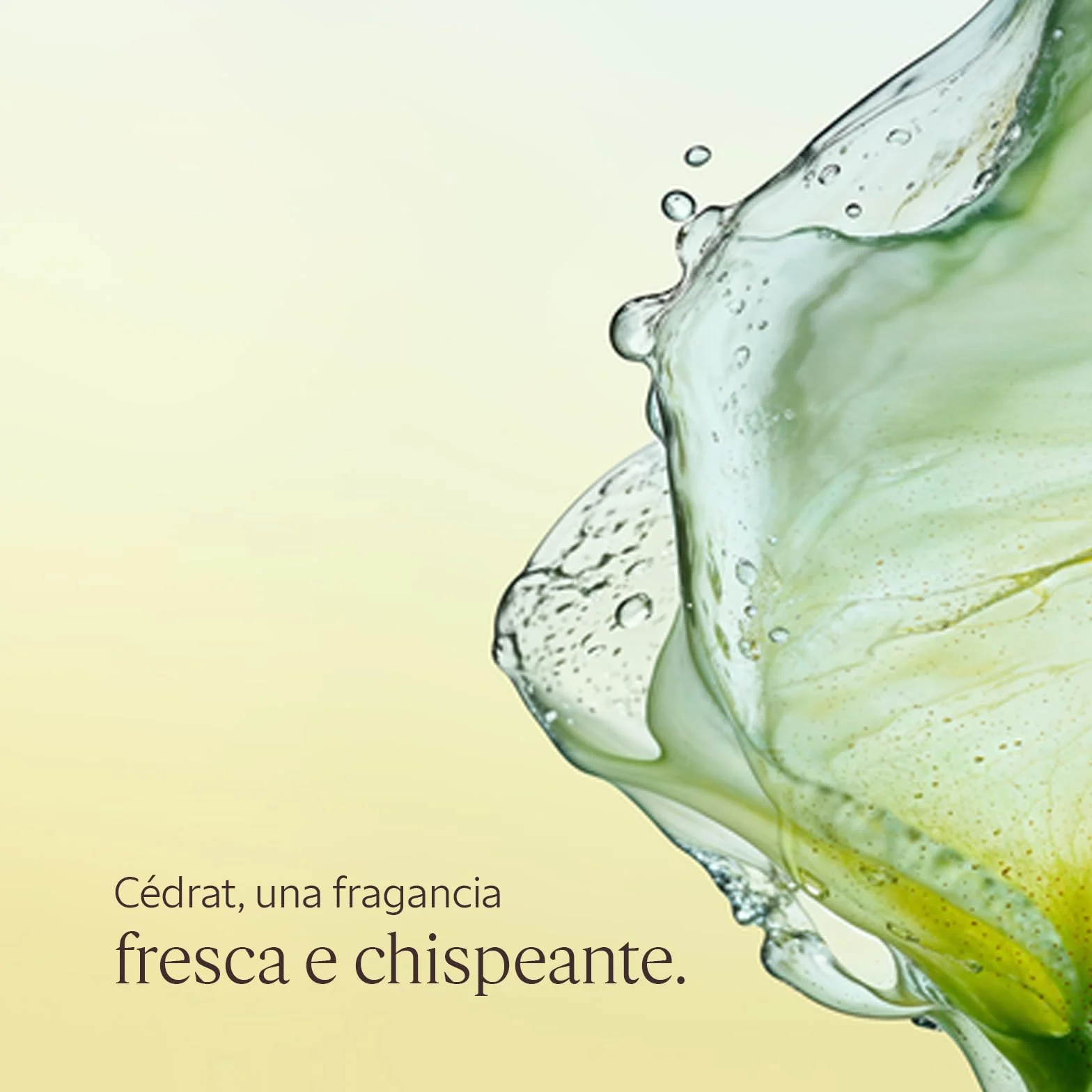 L'OCCITANE Gel Crème Aftershave Cédrat 75 ml