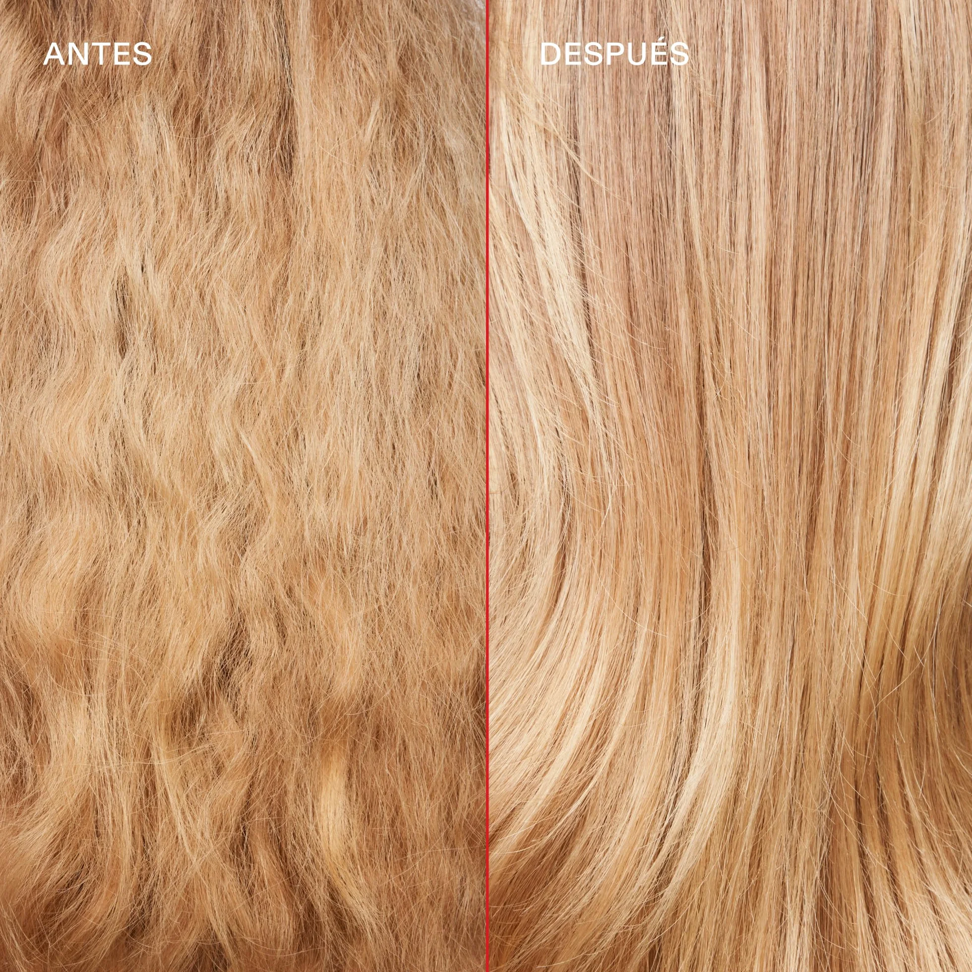 OLAPLEX No. 5 Bond Maintenance Acondicionador