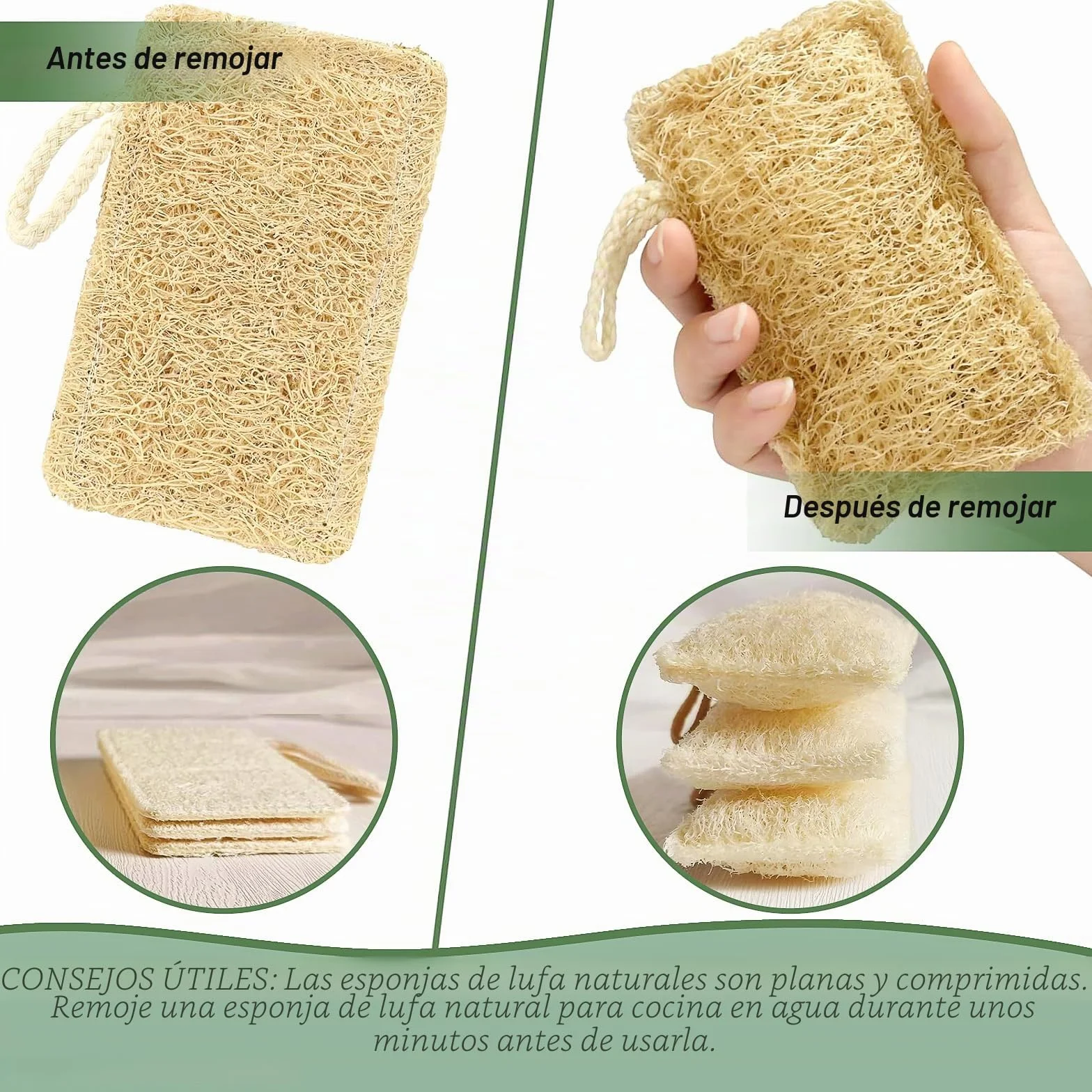 4 Piezas Esponjas Naturales Luffa con Cordón 11x7cm para Ollas y Sartenes