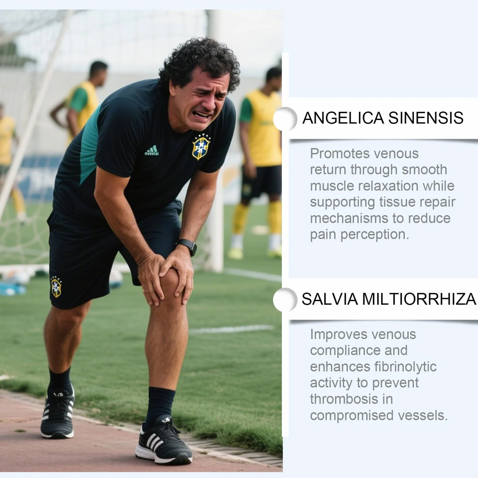 Parche venoso para piernas cansadas, apoyo circulación sanguínea, ingredientes naturales, 2 unidades