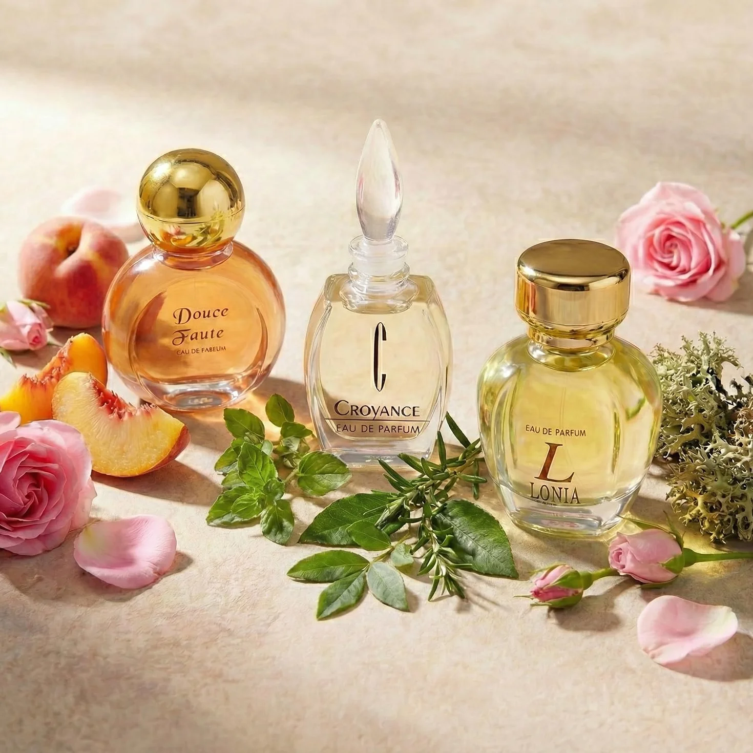 Charrier Parfums Top 10 Les Parfums de France - Caja lujosa de cartón con 10 botellas miniatura Eau De Parfum, Rojo, 52,7 ml