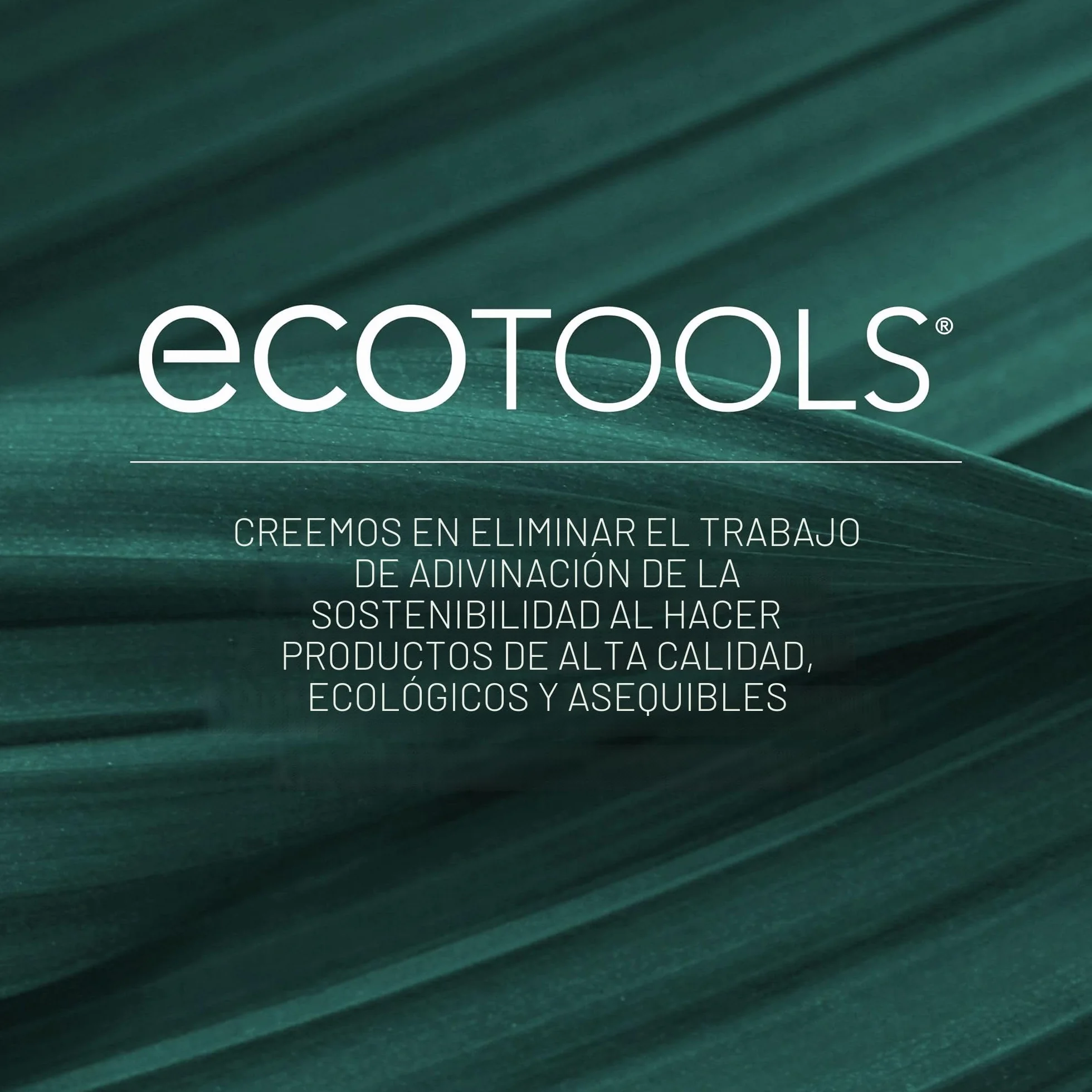 ECOTOOLS On-the-go style kit set de 4 brochas de Plástico neceser 21 g blanco