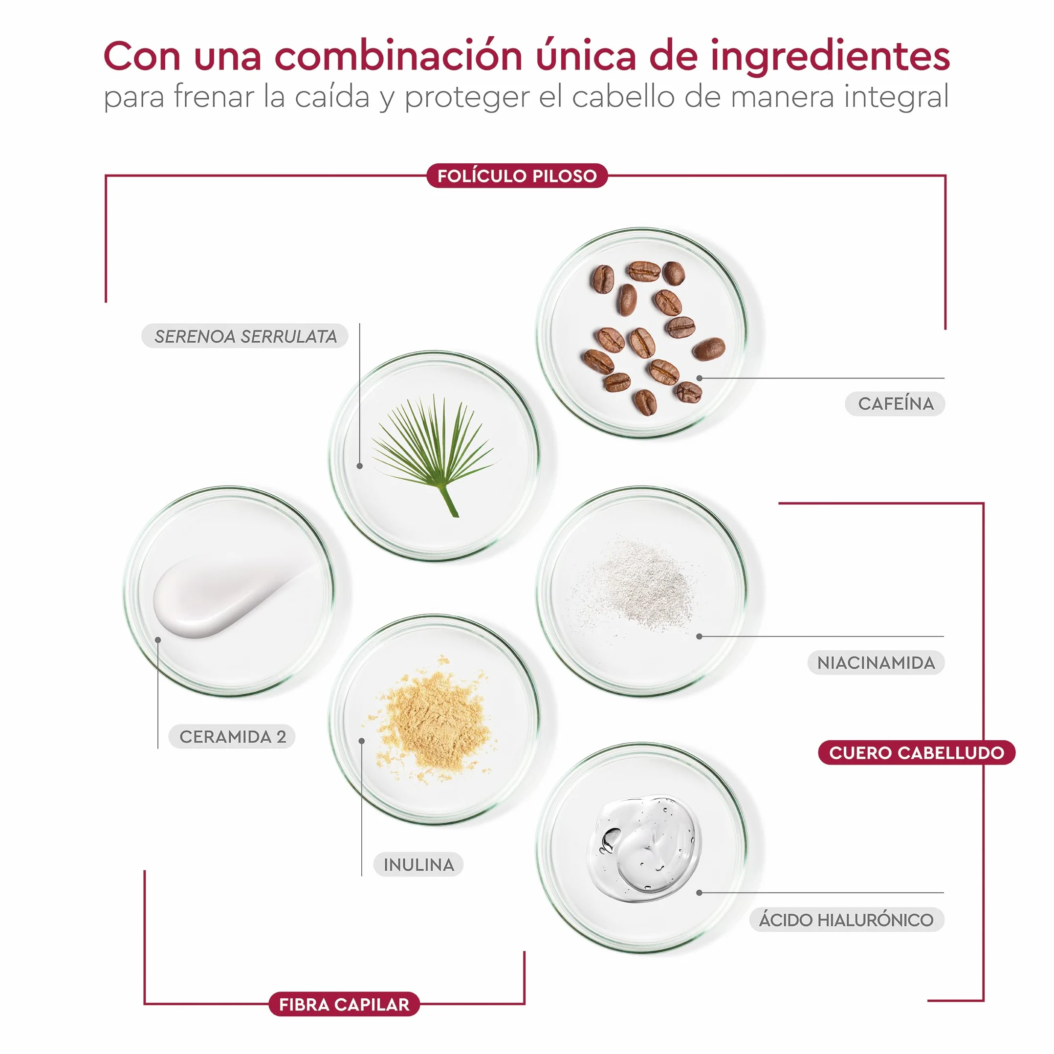 PILEXIL Champú Anticaída Triple Protection 900 ml Fortalece Suaviza Hidrata Cuero Cabelludo