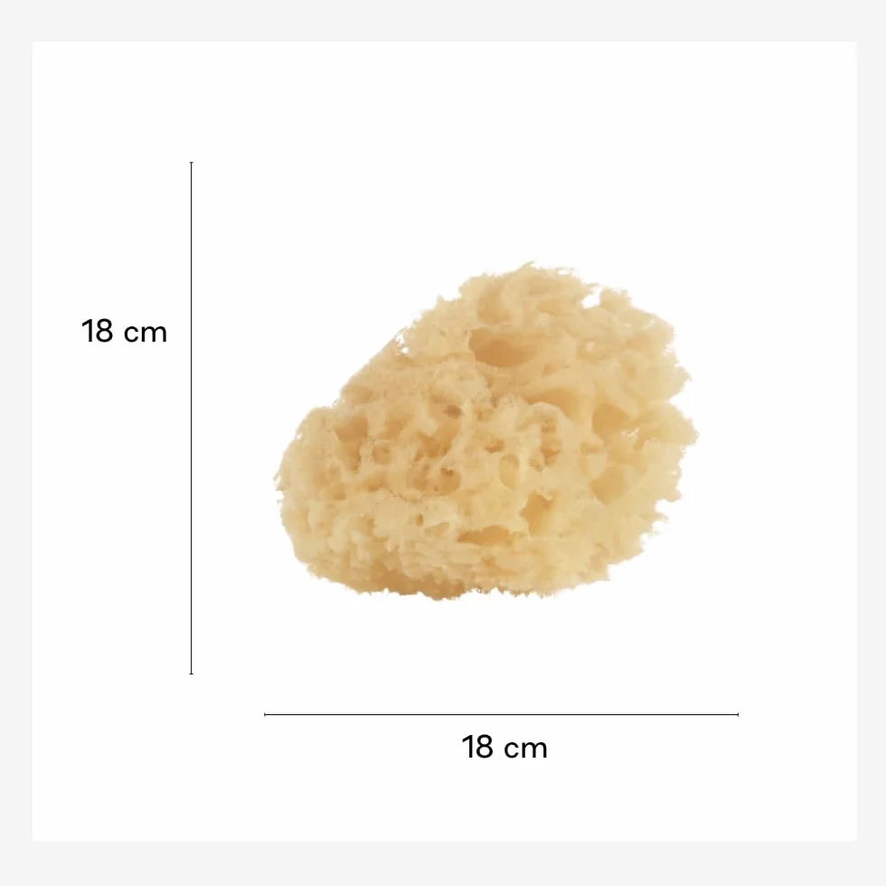 Jané Esponja Natural para Bebé, Pack 2 Unidades, Suave y Absorbente, Recién Nacido