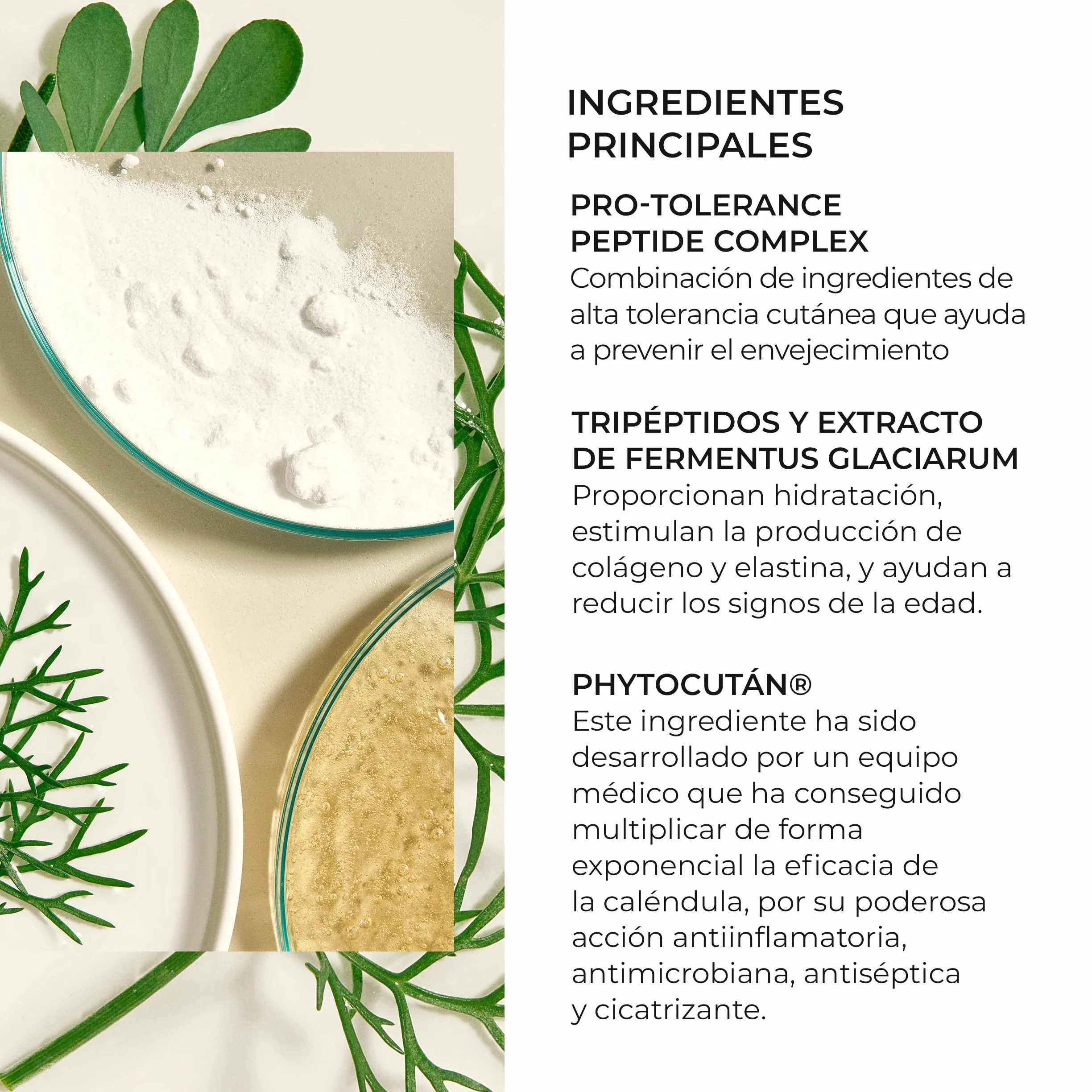 Natura Bissé Tolerance Recovery Cream | Crema Hidratante Facial Antiedad Con Péptidos, Fermentus Glaciarum y Phytocután | 50 ml