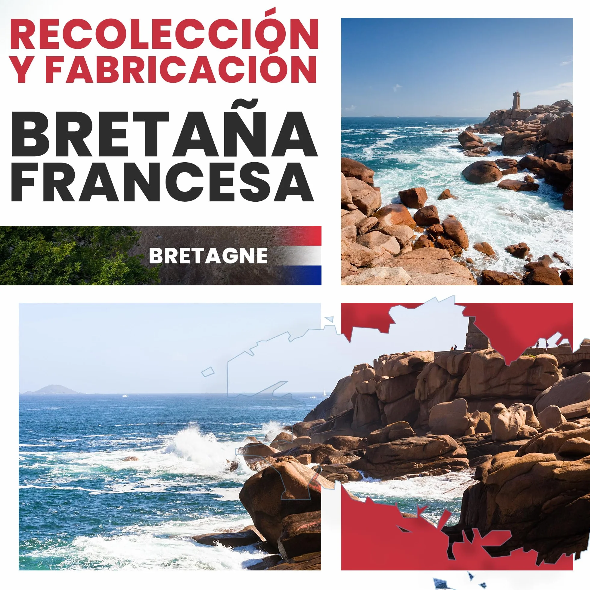 Barro de Algas Anticelulitico: Combate Celulitis y Flacidez Corporal. Efecto Reafirmante y Resultados Visibles. Fango Profesional SPA Tratamiento de Choque - Ready To Use - 6000 g 6 kg