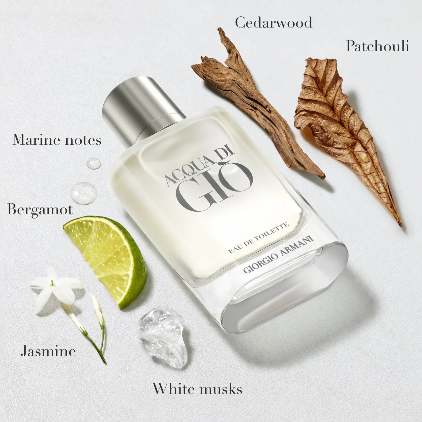Armani Acqua Di Gio Homme Eau de Toilette Vaporizador 100 ml