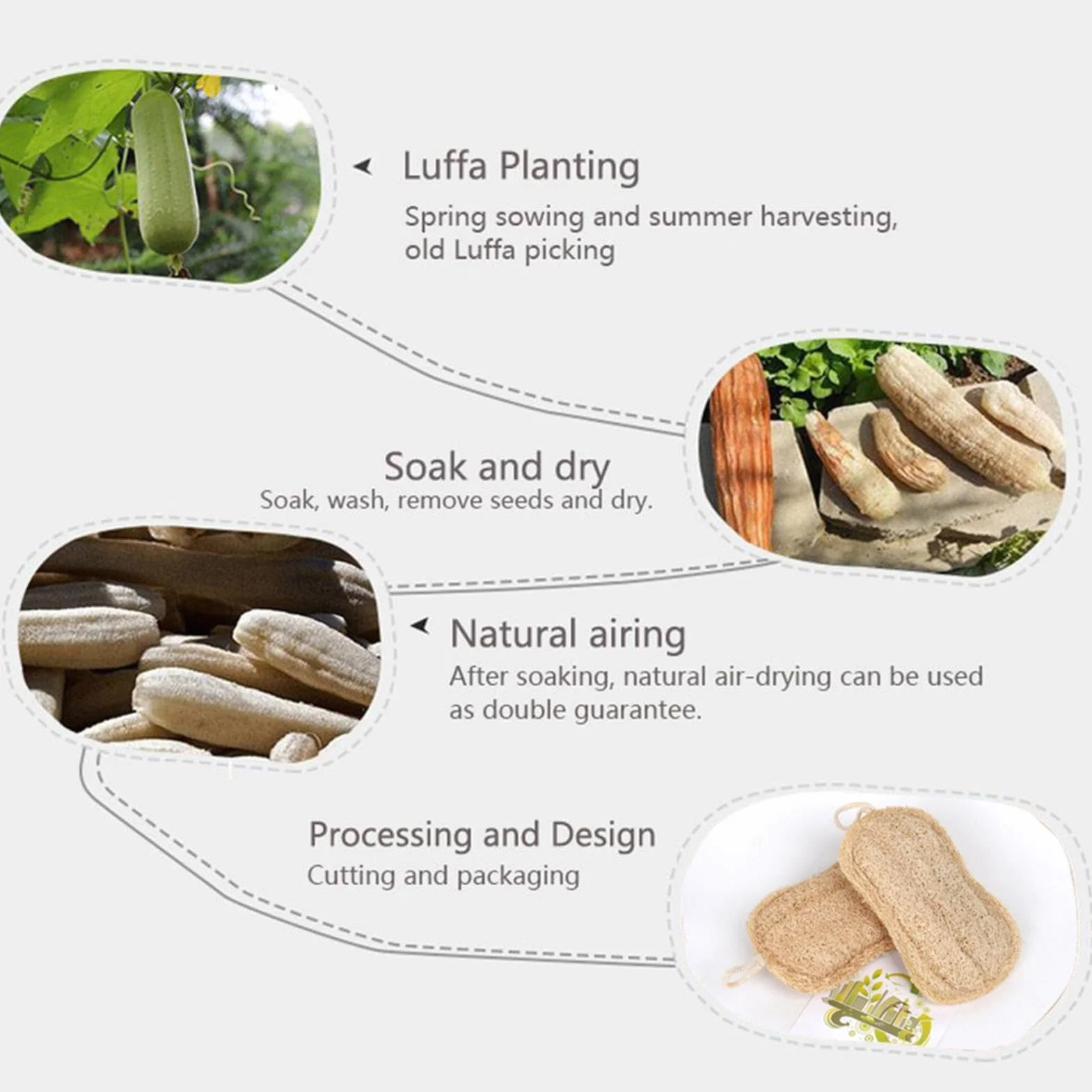 Esponja de Cocina de Lufa Natural - Esponja Exfoliante Compostable, Antiarañazos