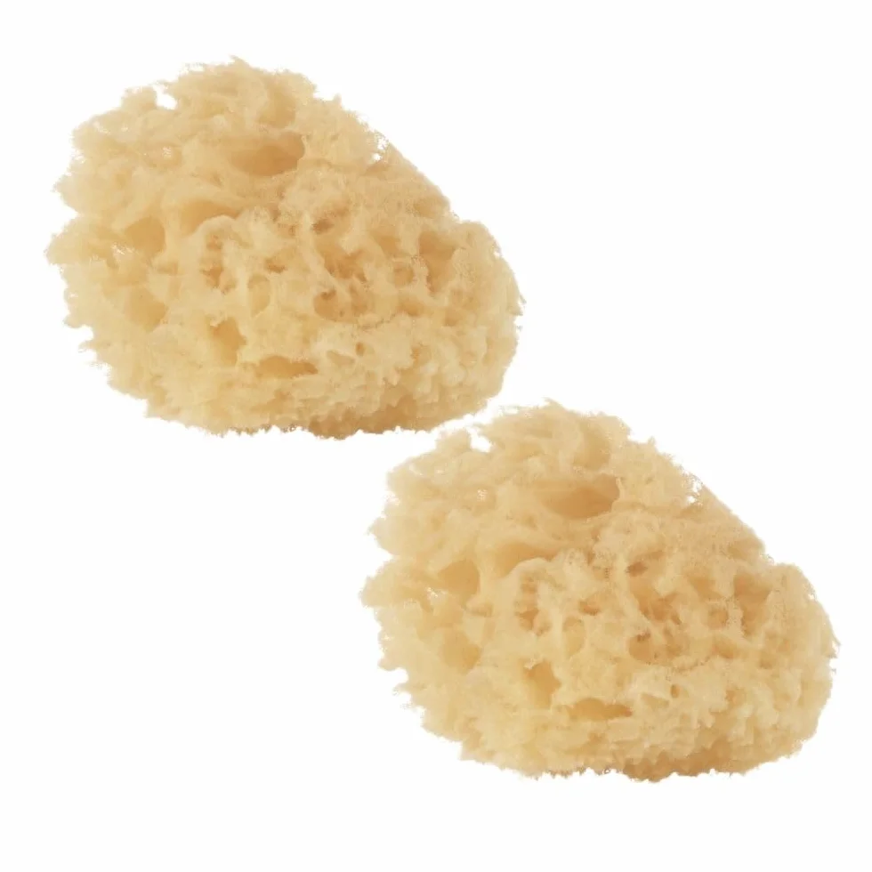 Jané Esponja Natural para Bebé, Pack 2 Unidades, Suave y Absorbente, Recién Nacido