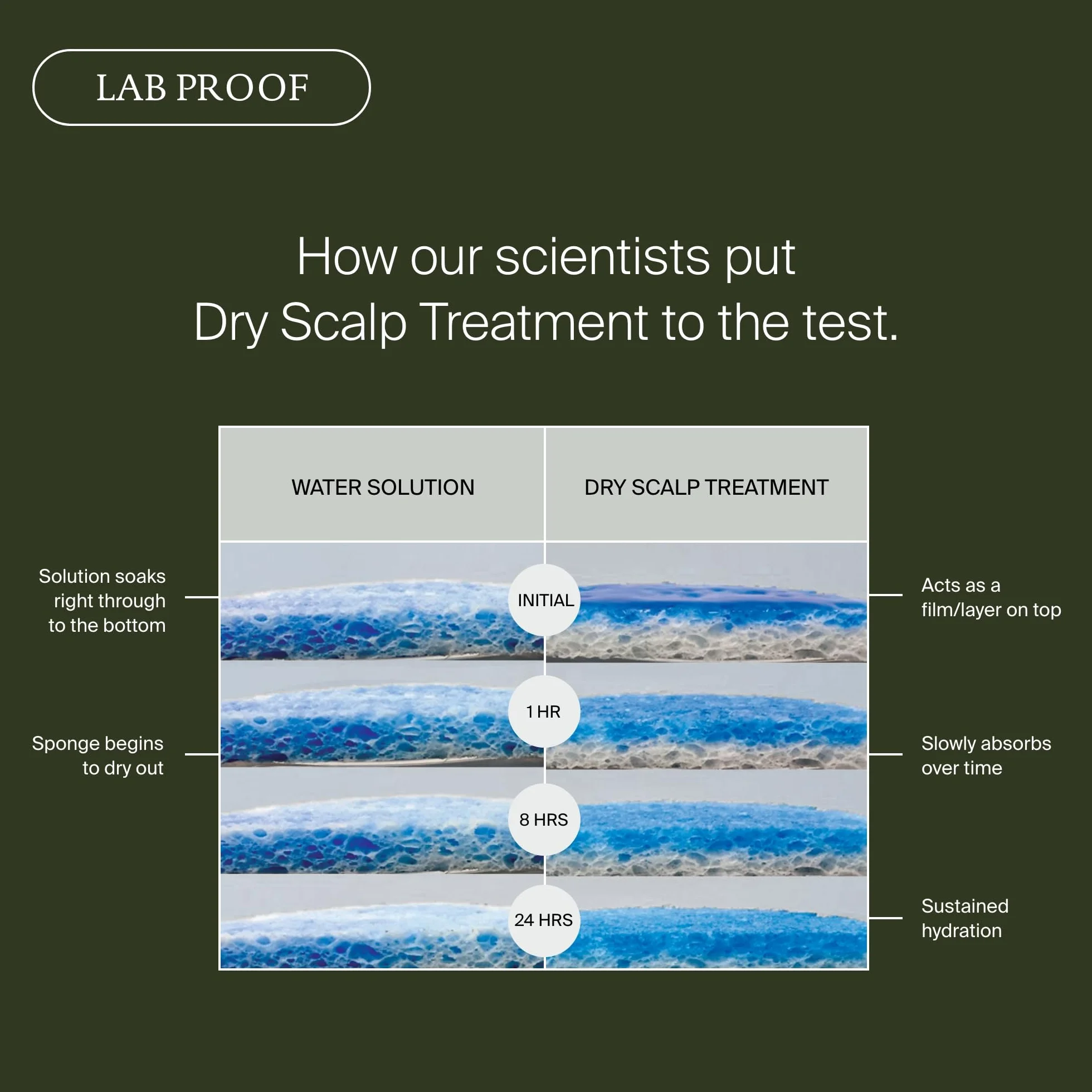 Scalp Care Dry Scalp Treatment