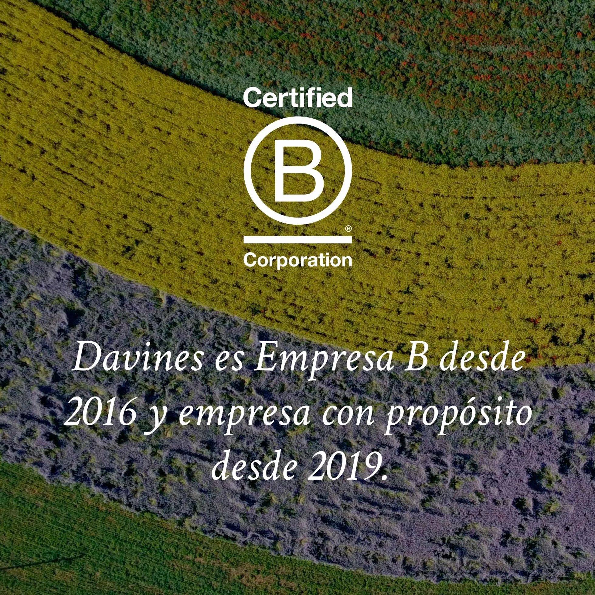 Davines Love Curl Crème - Cuidado capilar, 150 ml