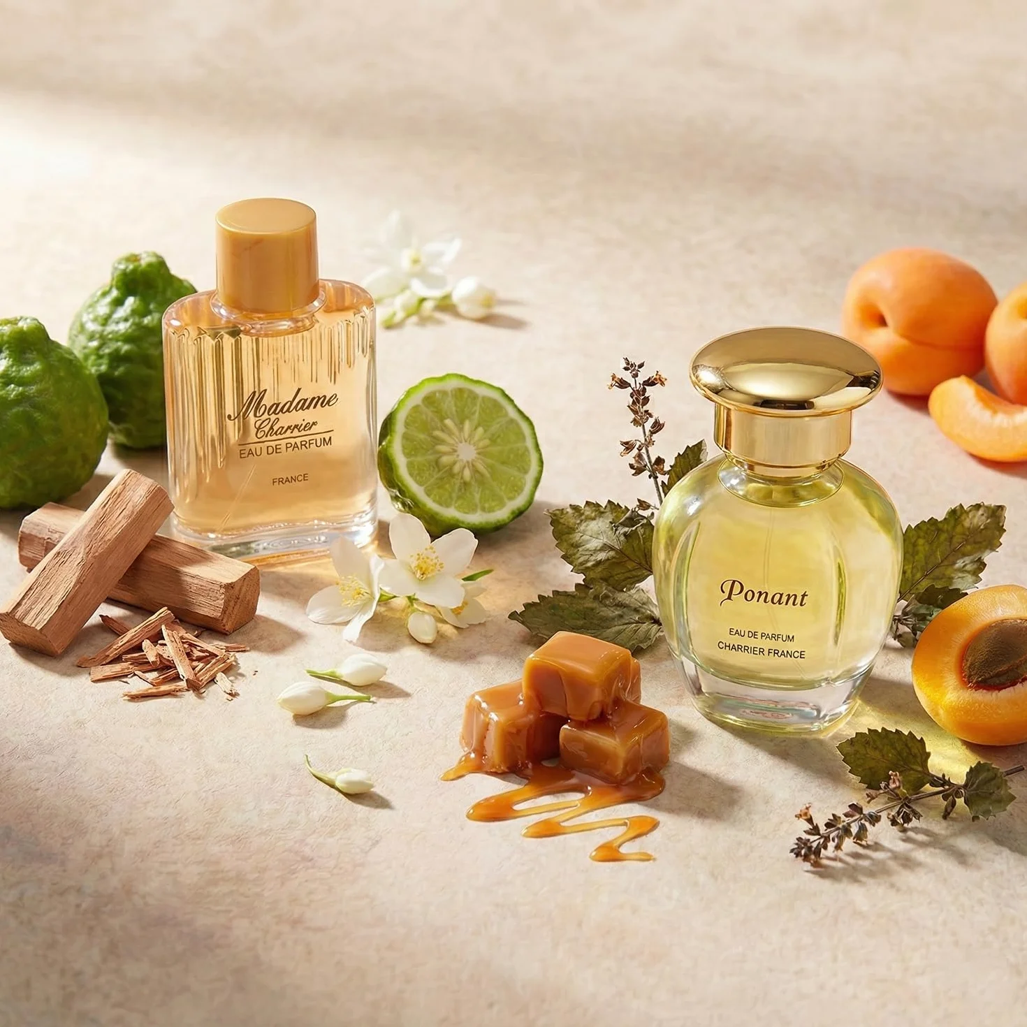 Charrier Parfums Top 10 Les Parfums de France - Caja lujosa de cartón con 10 botellas miniatura Eau De Parfum, Rojo, 52,7 ml