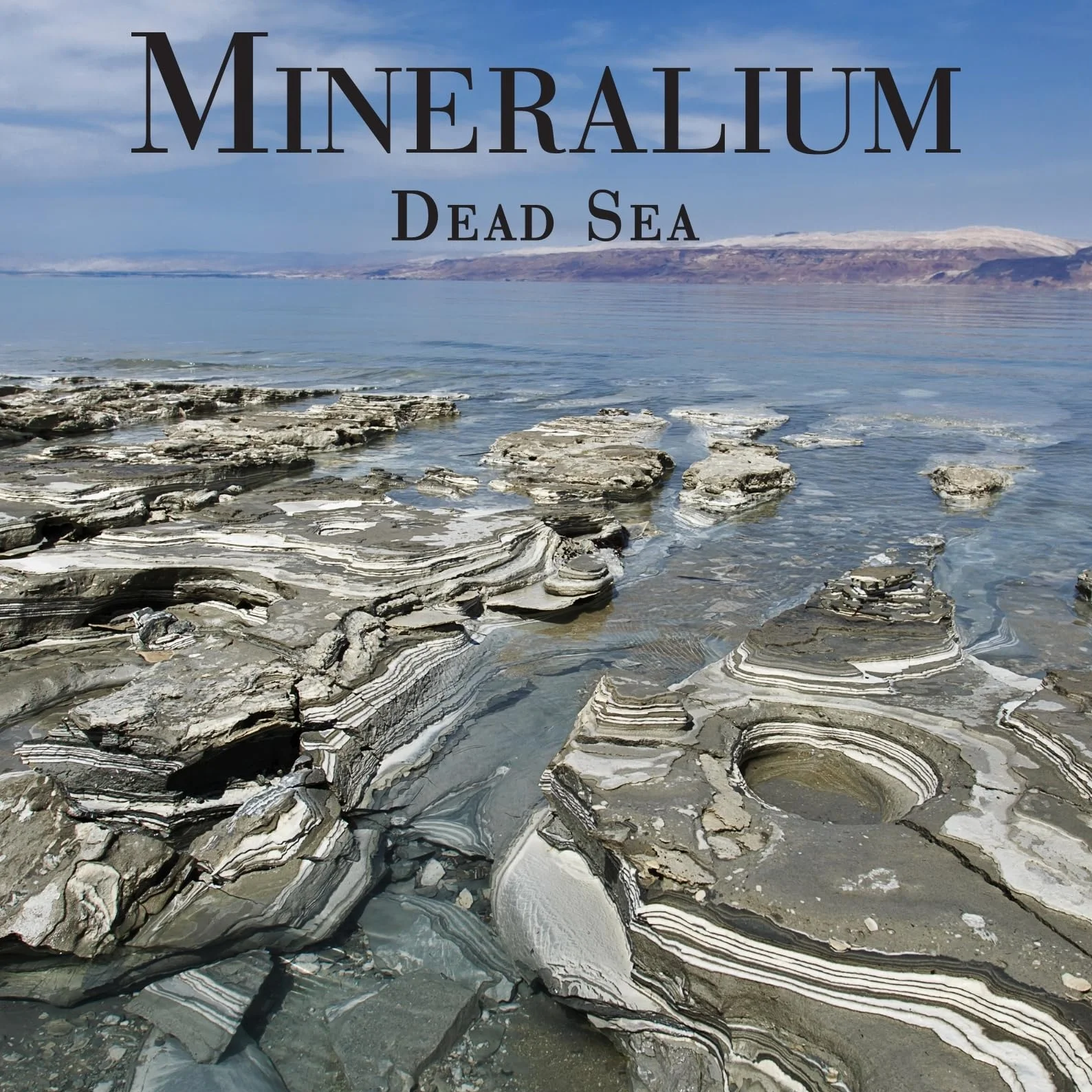 Barro Negro Purificante del Mar Muerto Rico en Minerales 500ml - Desintoxica y Revitaliza la Piel