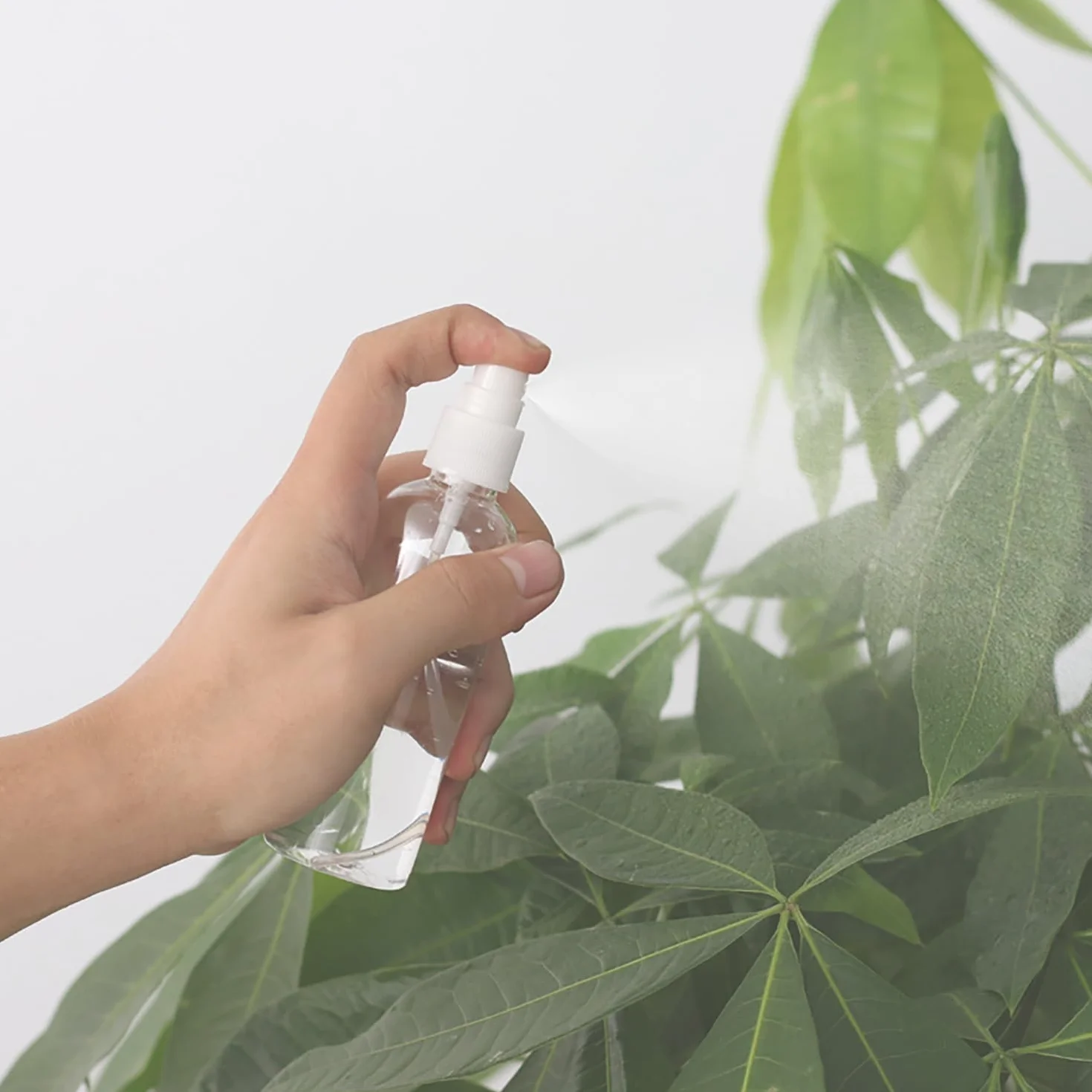 Botella Pulverizadora Pequeña 50ml Plástico Transparente Atomizador Rellenable de Viaje