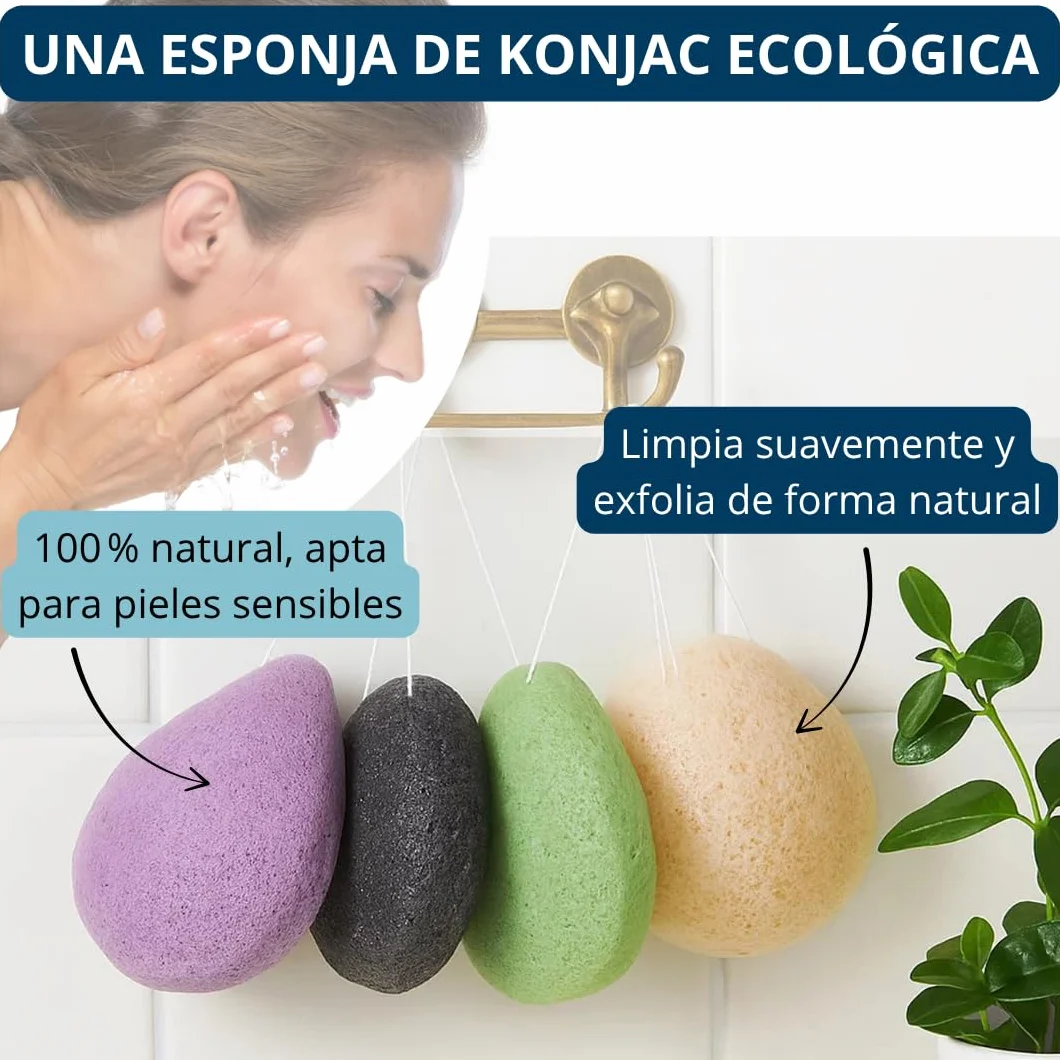 Esponjas faciales de Konjac té verde carbón vegetal lavanda cáscaras de nuez Juego de 4 gotas limpiadora natural