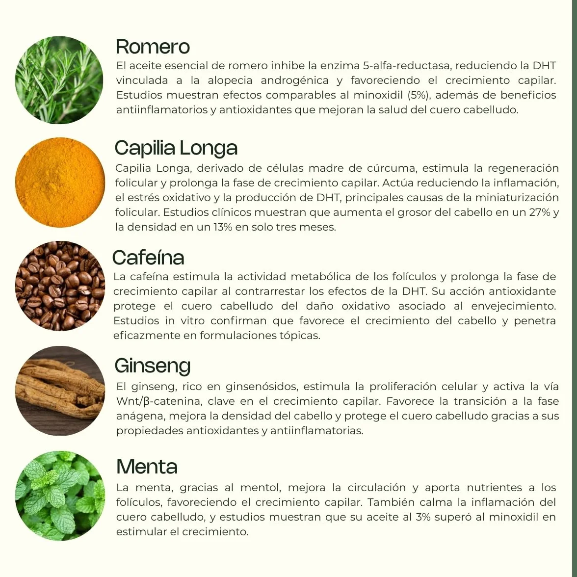 SYNSERA Sérum Capilar Fortificante Anticaída 30 ml con Cafeína Capilia Longa Romero Ginseng
