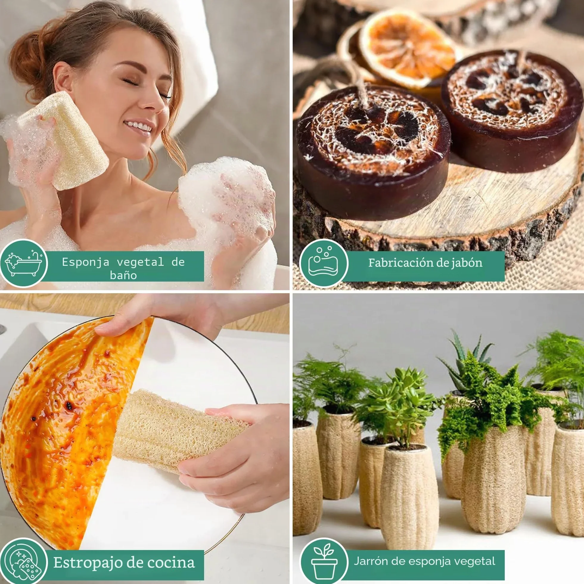Esponjas de lufa orgánicas naturales grandes exfoliantes para ducha, baño, paquete de 4