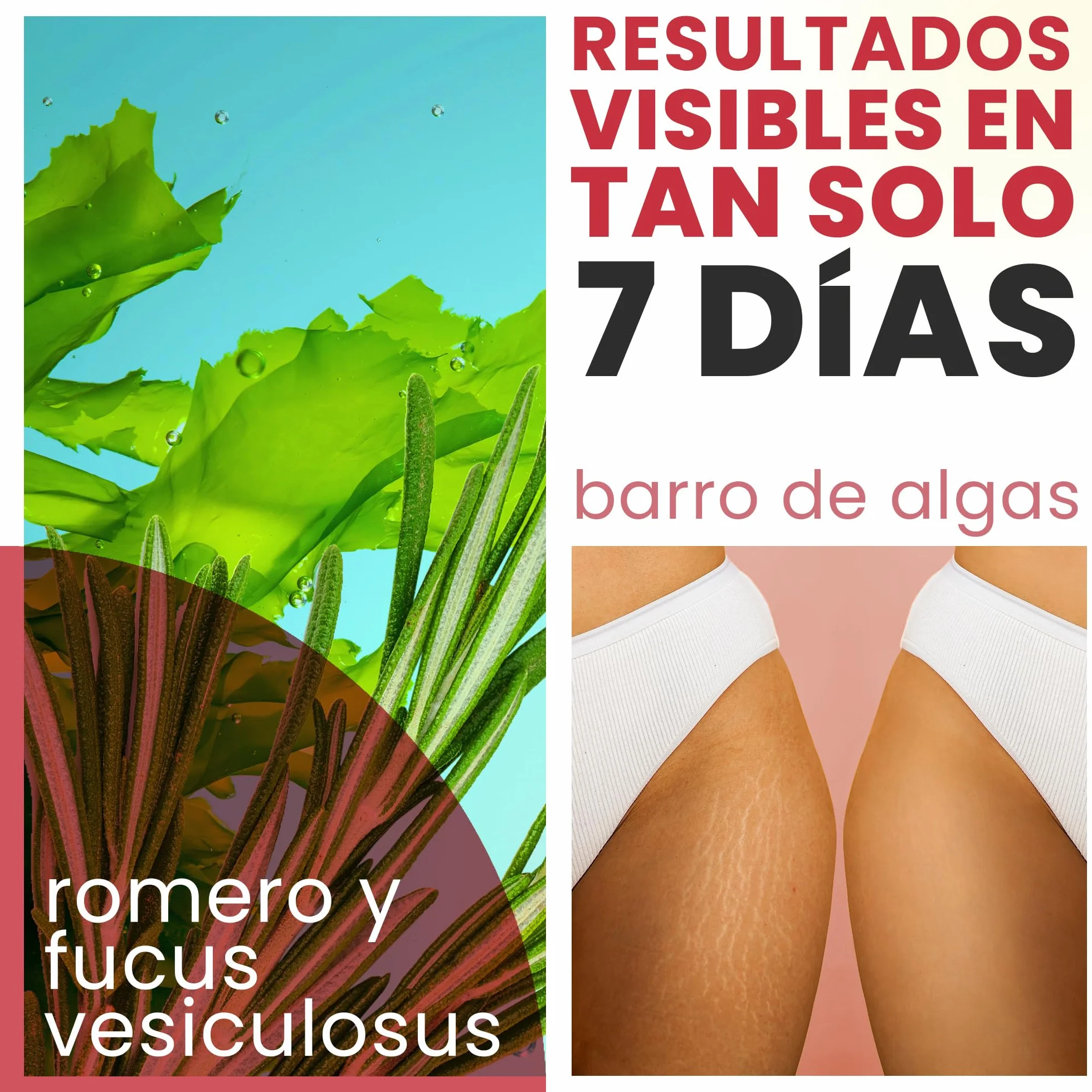 Barro de Algas Anticelulitico: Combate Celulitis y Flacidez Corporal. Efecto Reafirmante y Resultados Visibles. Fango Profesional SPA Tratamiento de Choque - Ready To Use - 6000 g 6 kg