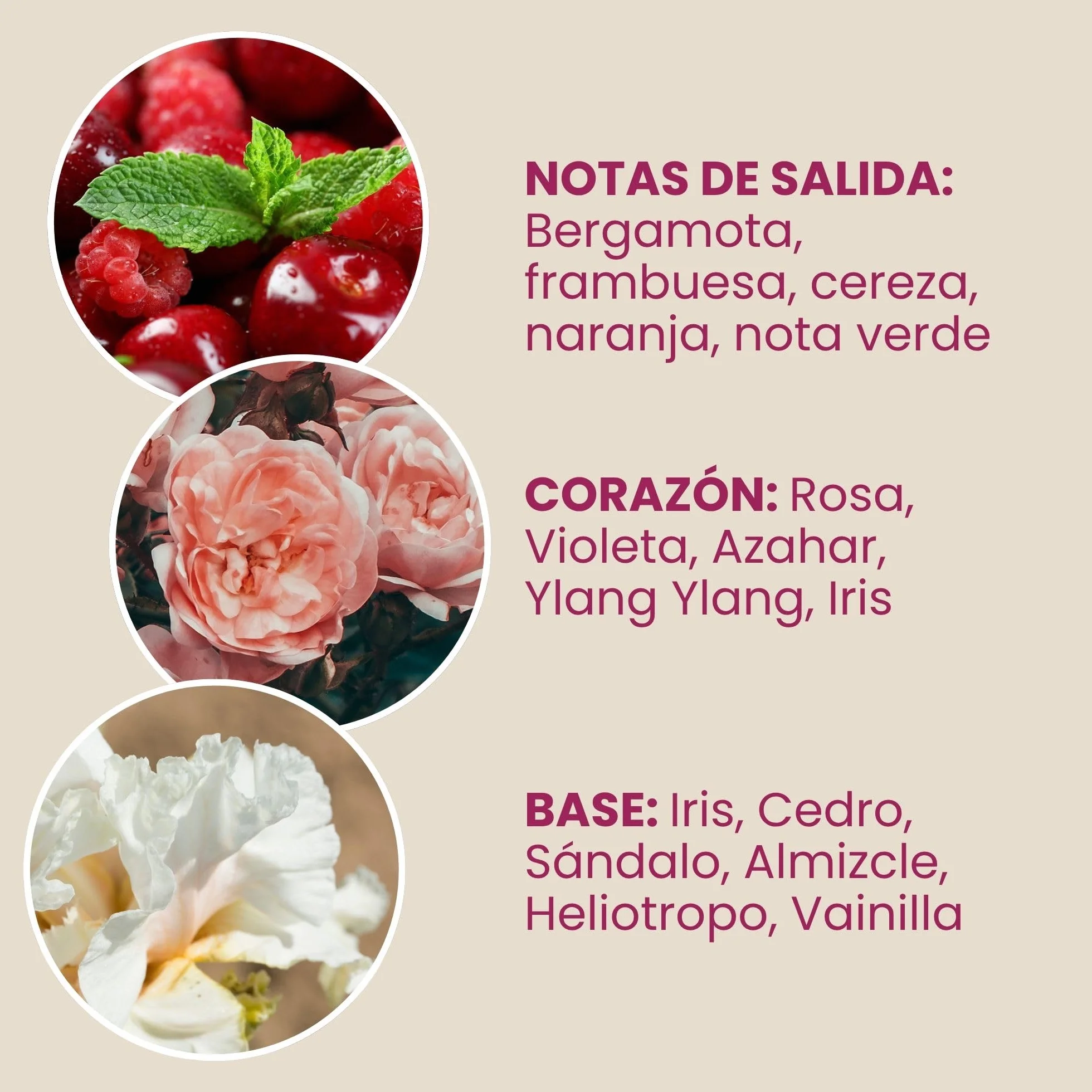 Jean & Len You Blossom My Heart Perfume Capilar 105 ml Fragancia Flores Frutos Rojos Vegano