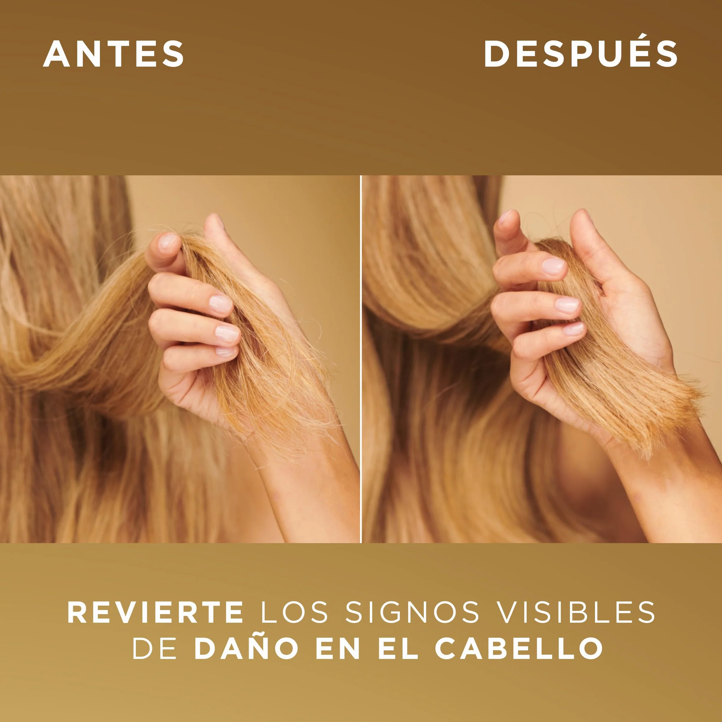 Pantene Molecular Bond Repair Mascarilla Capilar Intensiva con Biotina 300ml para Pelo Dañado