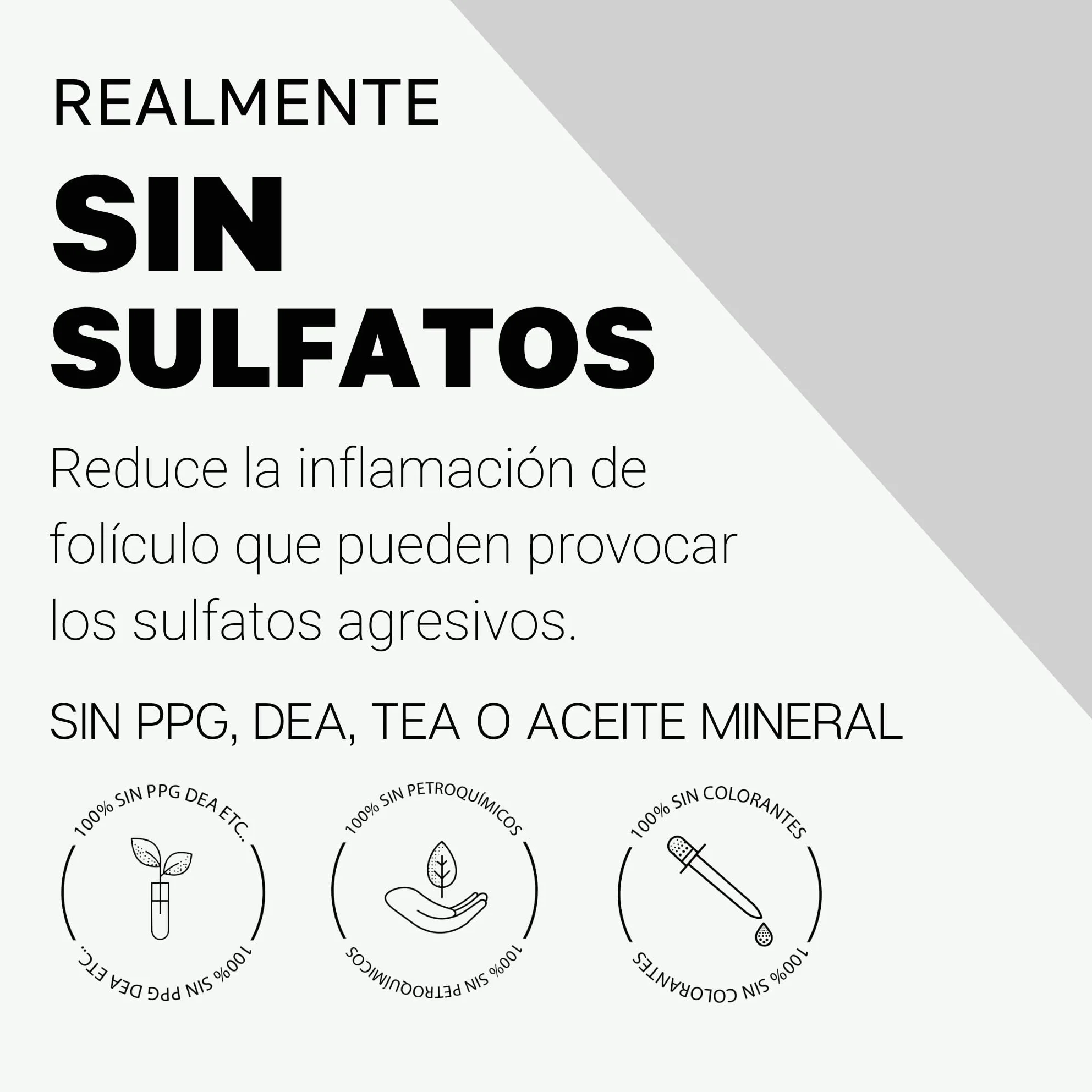 Champú Anticaída Hombre y Mujer con Biotina 10000 mcg, Saw Palmetto, Cafeína, Zinc, Crecimiento Capilar, pH 5.5 Sin Sulfatos 400 ml