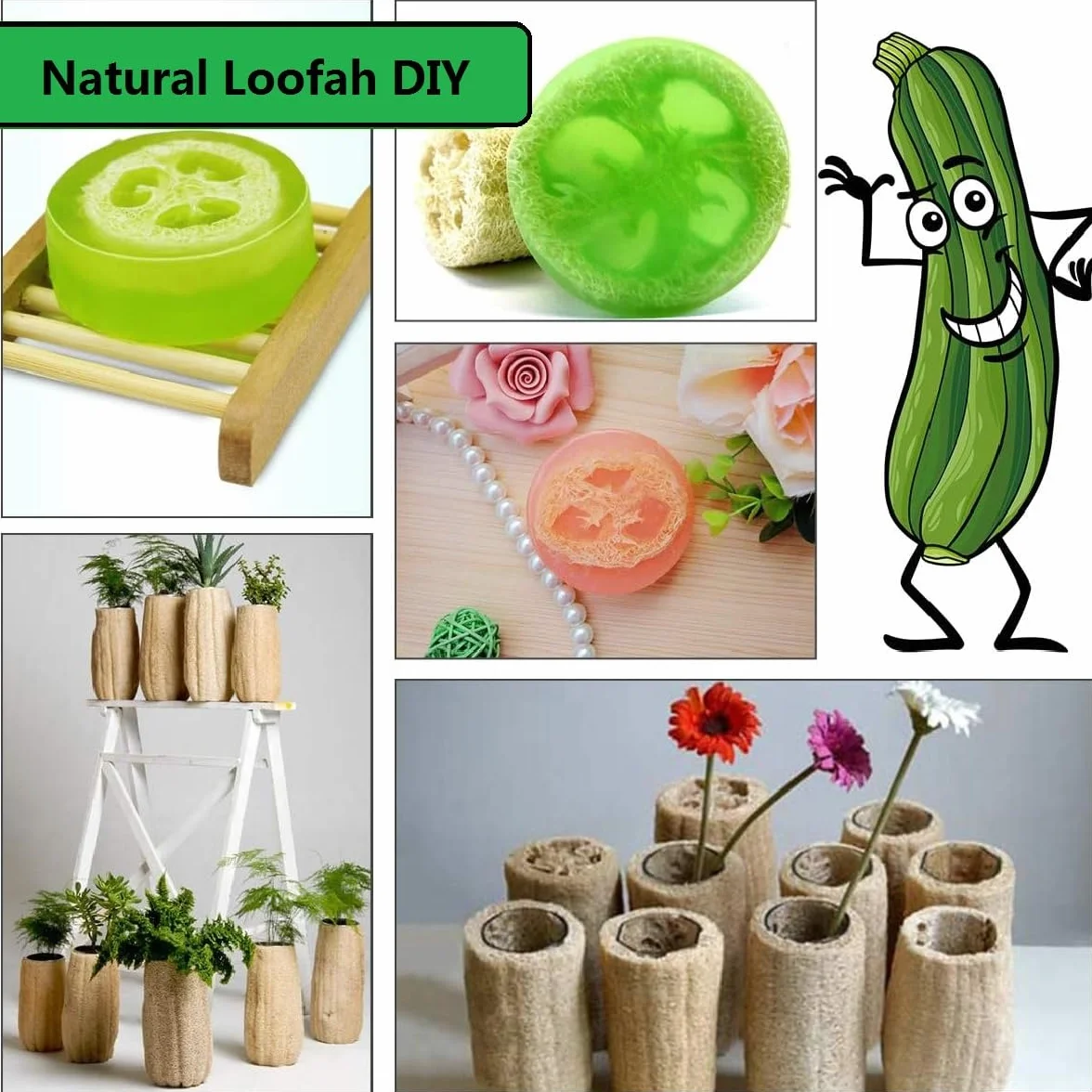 Loofah Natural Scrubber 6 Piezas Esponjas de Luffa Naturales 10cm Limpieza Cocina Baño