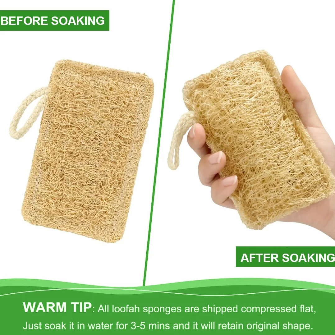 Estropajos biodegradables de luffa natural para cocina