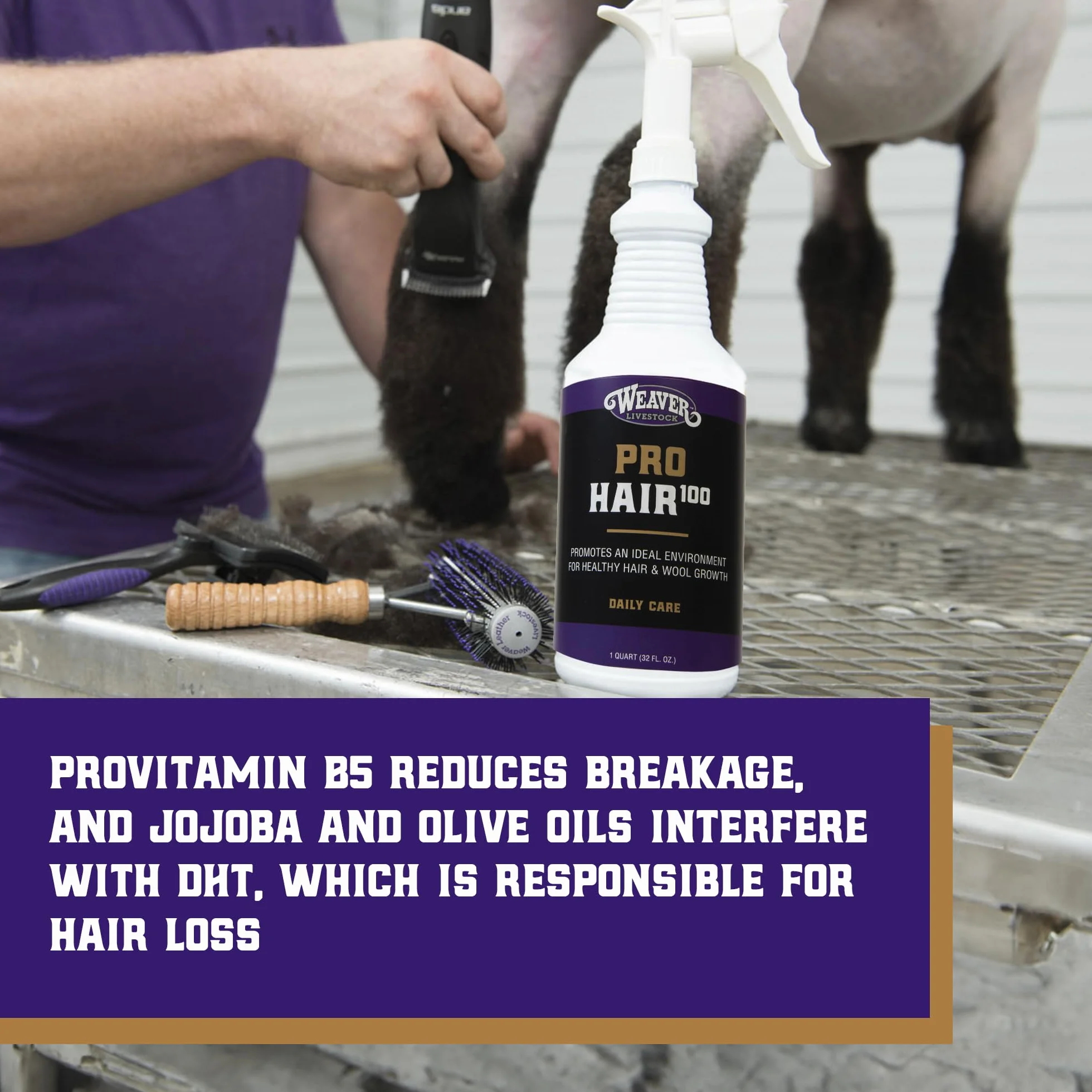 Weaver Leather Livestock Winner's Brand Pro Hair100 Shampoo