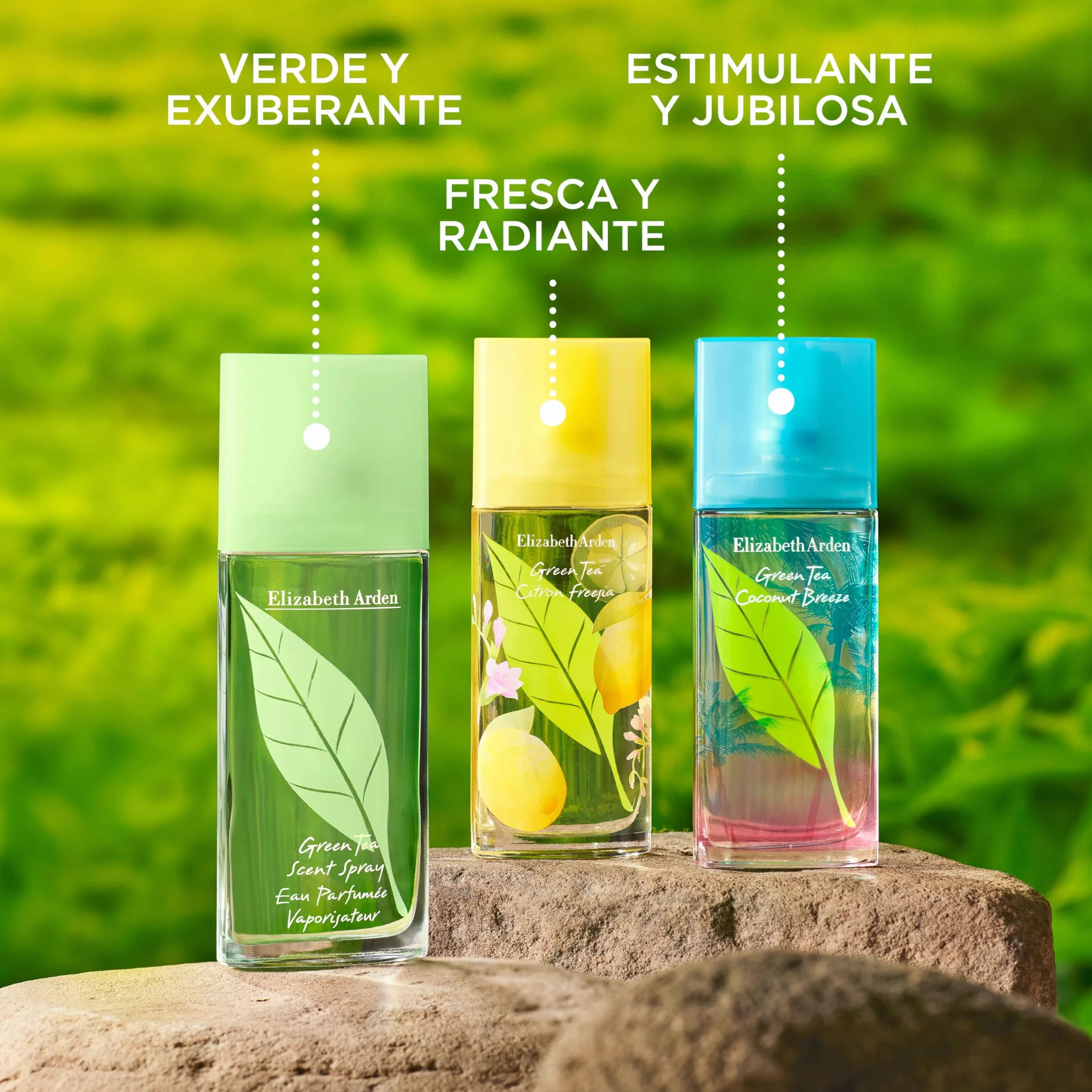 Elizabeth Arden Green Tea Eau Parfum 50 ml