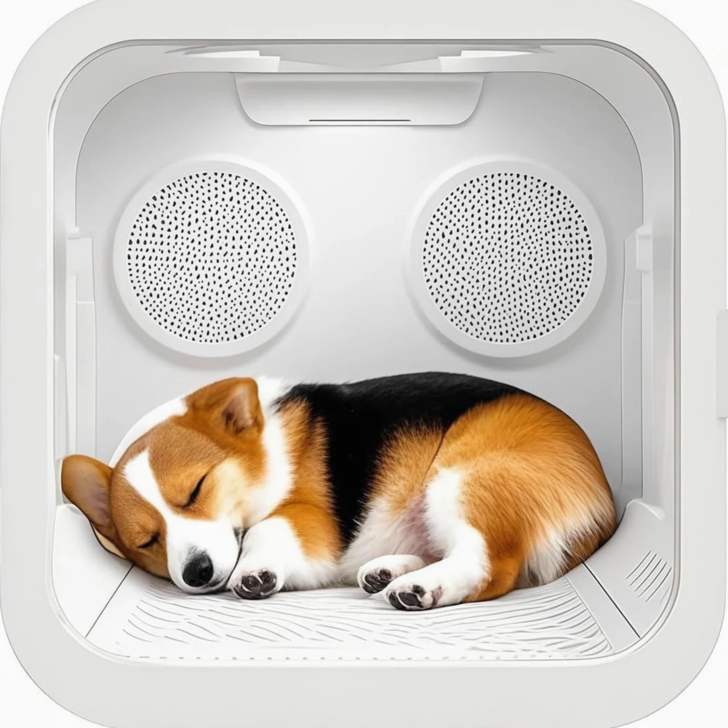 Caja secadora automática para mascotas para gatos y perros pequeños,eficiente,automático y silencioso 360° para gatos y perros,control inteligente temperatura con pantalla táctil,diseño seguro