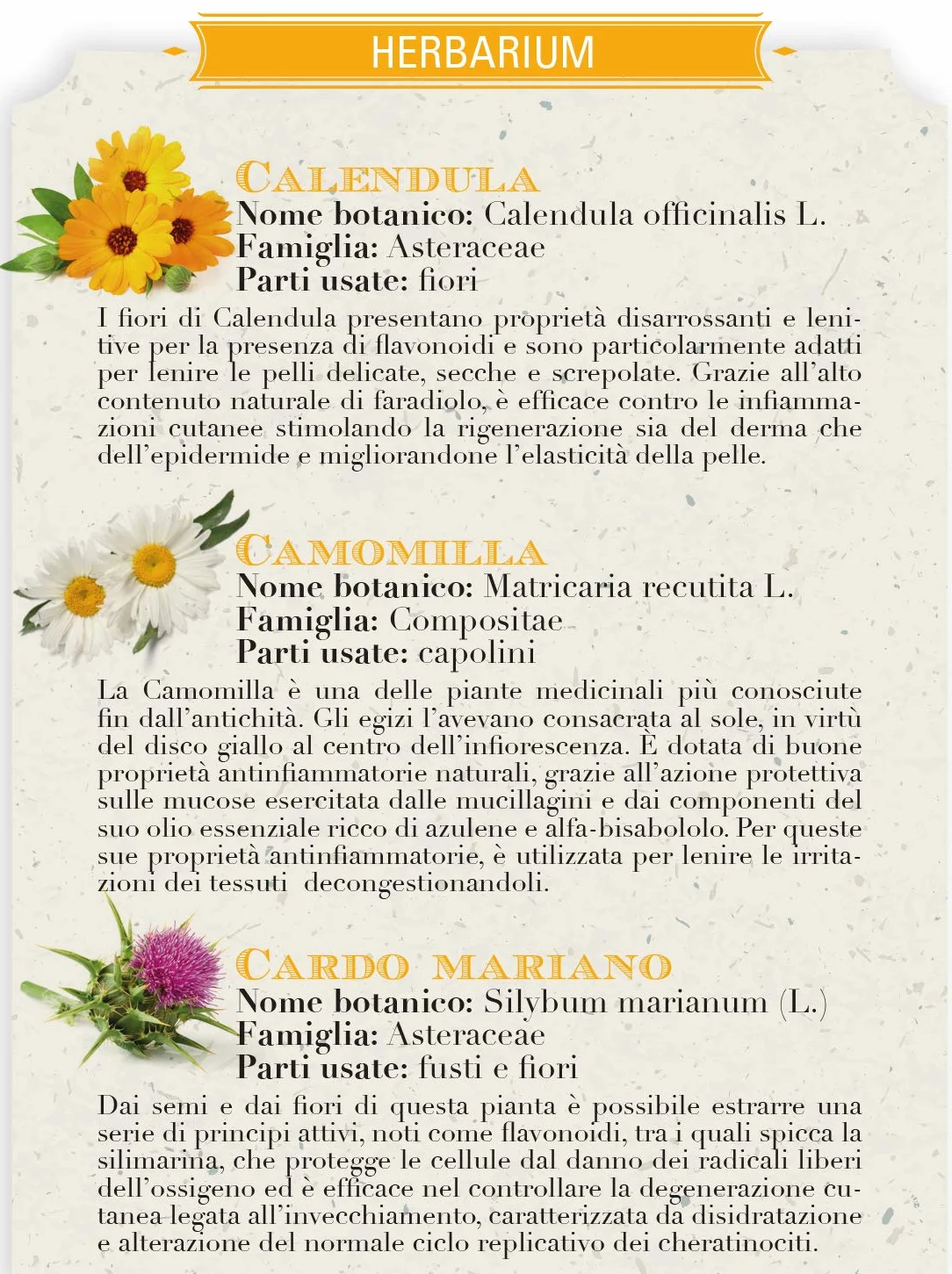 Pomada de Caléndula y Manzanilla 75 ml